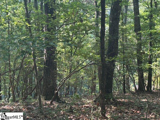 Scenic Mountain Drive Pickens, SC 29671