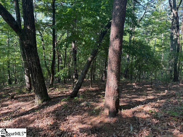 Scenic Mountain Drive Pickens, SC 29671