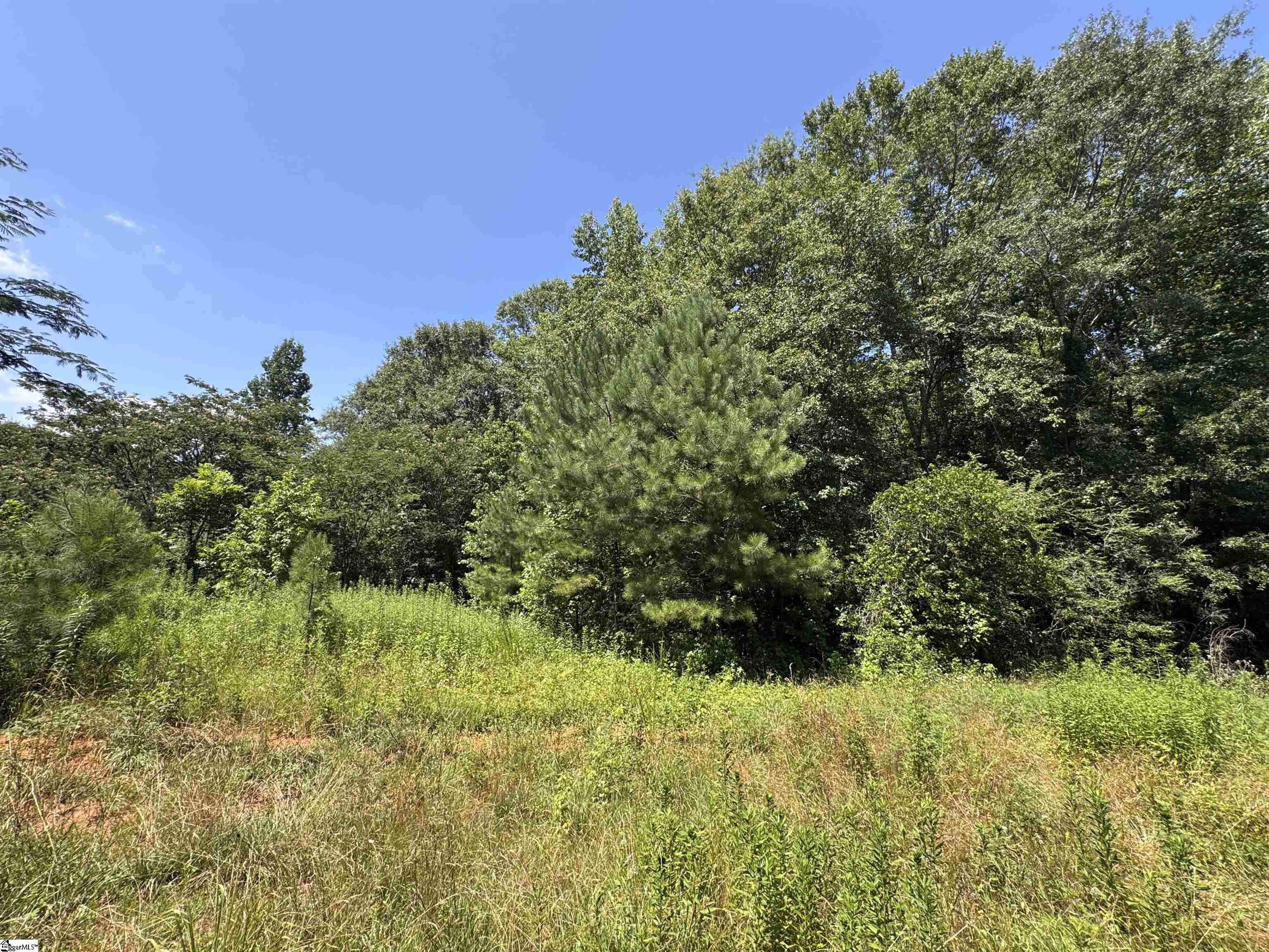 2133 North Highway 25 Travelers Rest, SC 29690-7878