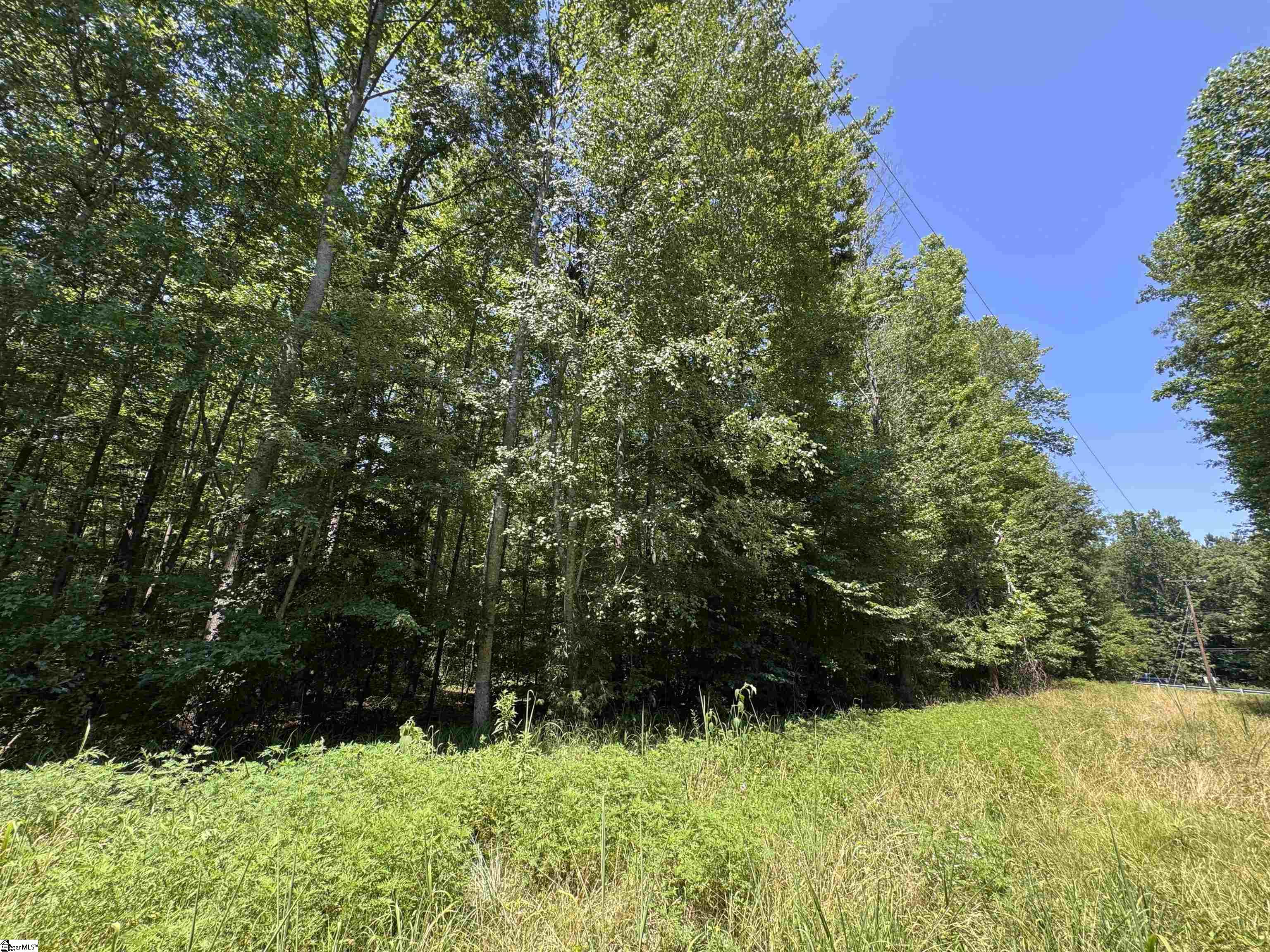 2133 North Highway 25 Travelers Rest, SC 29690-7878