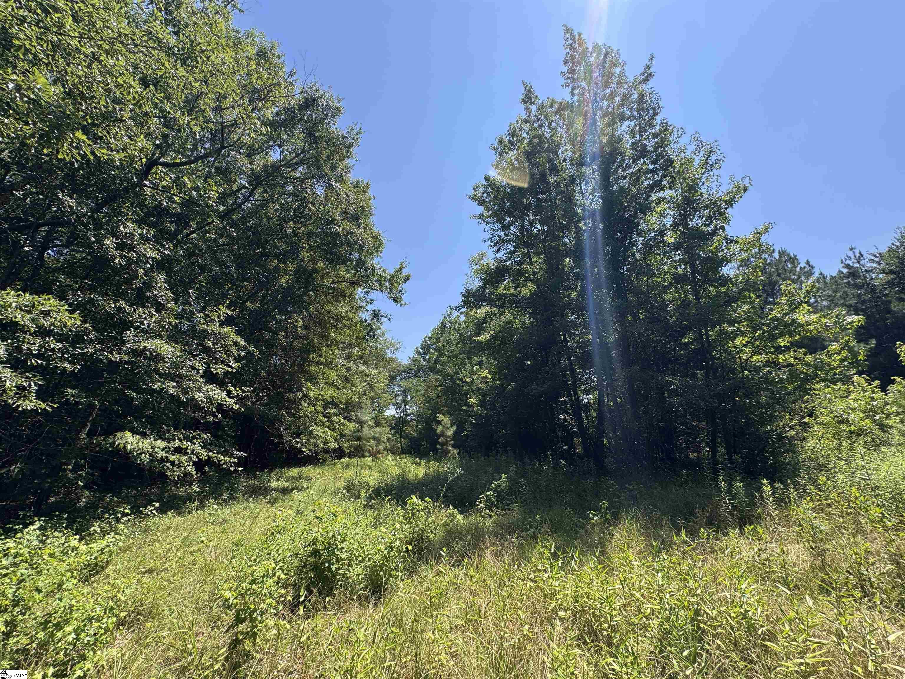 2133 North Highway 25 Travelers Rest, SC 29690-7878