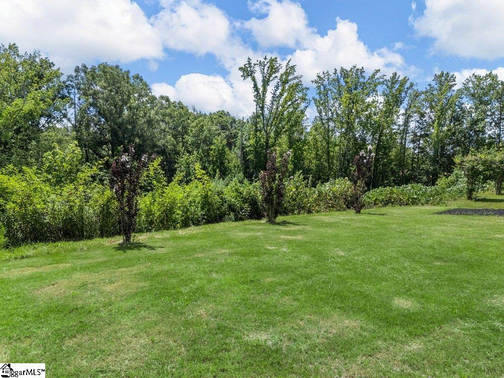 415 Balvenie Drive Greenville, SC 29607