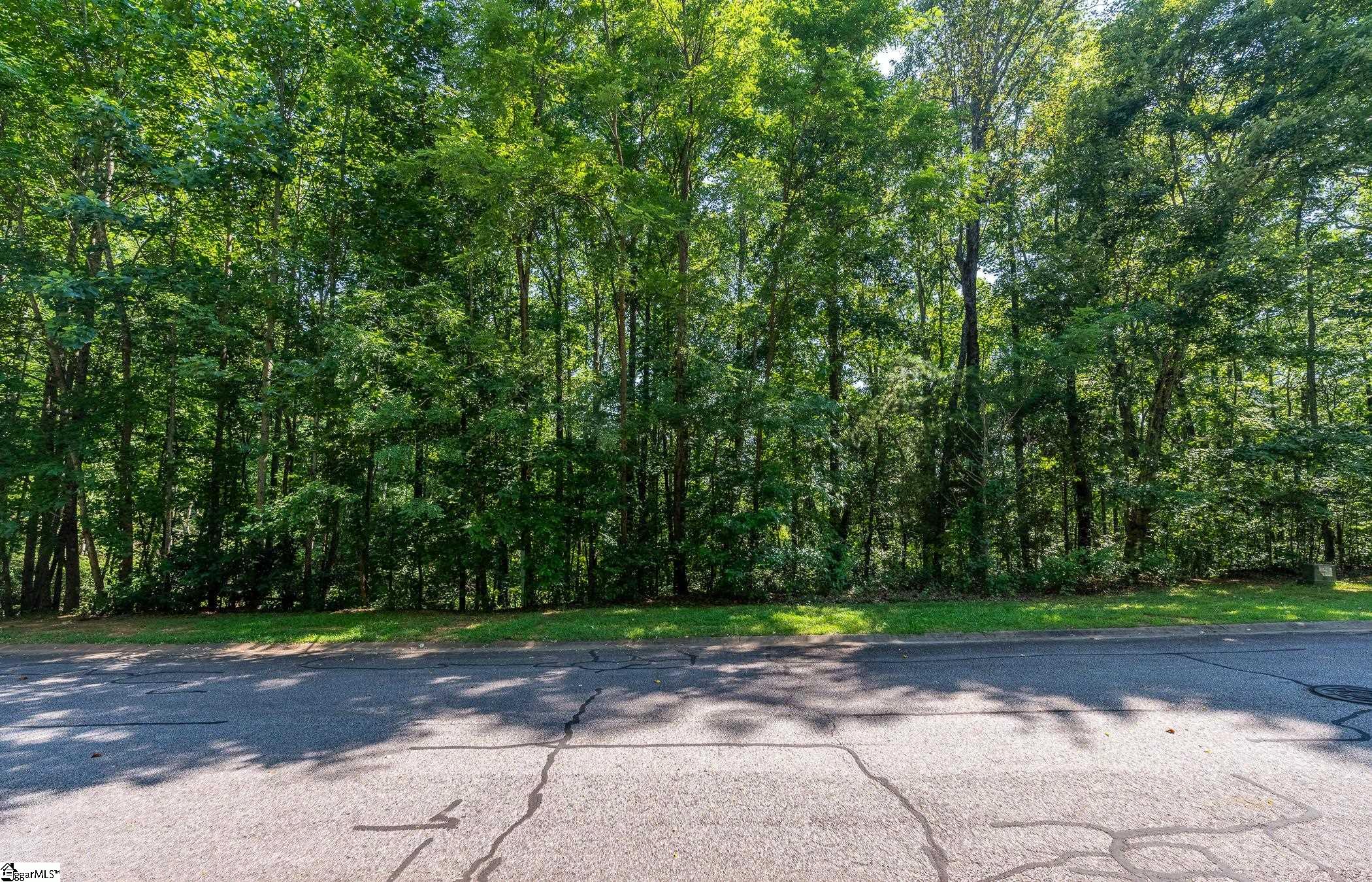 313 Laurel Valley Way Travelers Rest, SC 29690