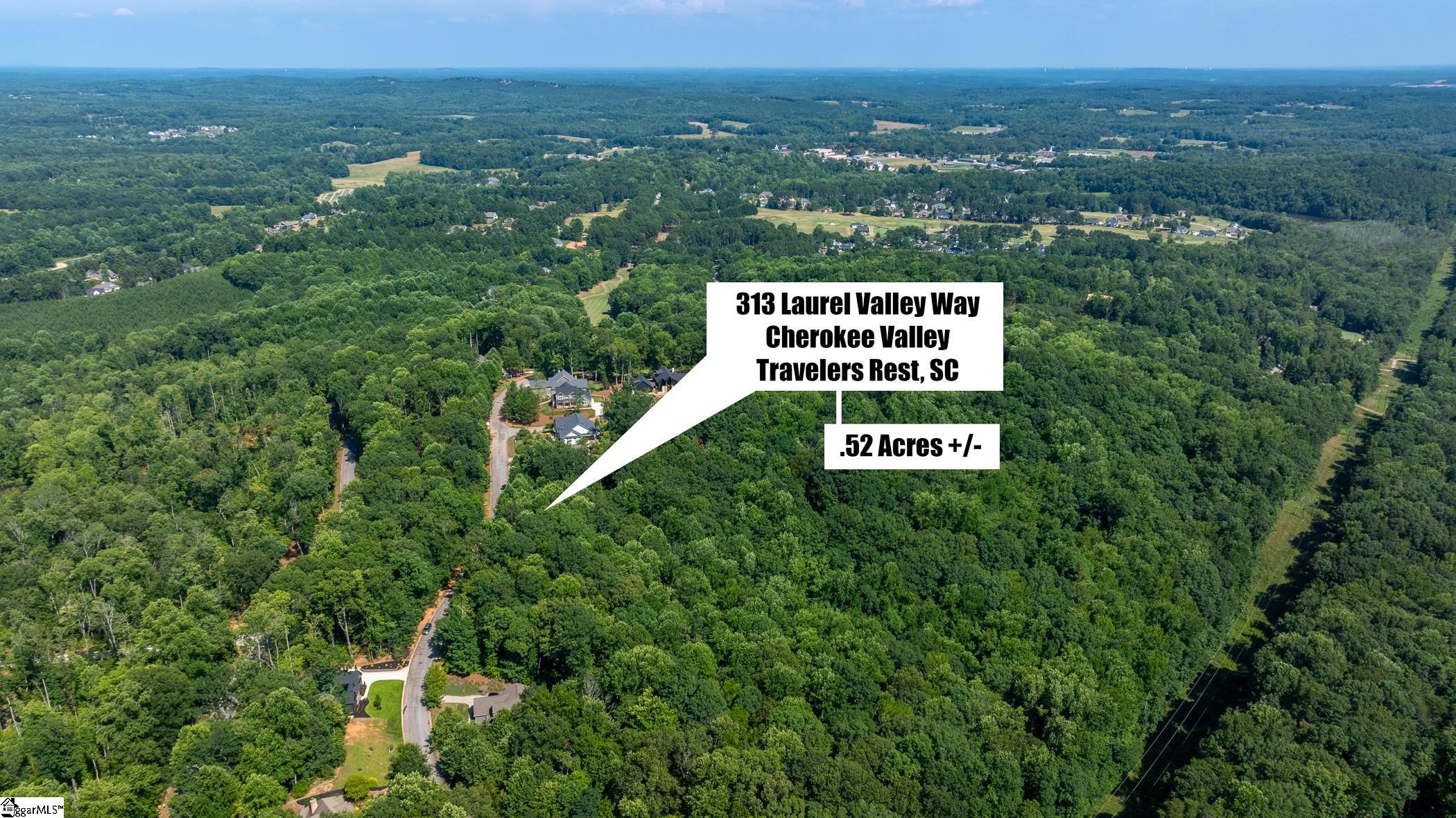 313 Laurel Valley Way Travelers Rest, SC 29690