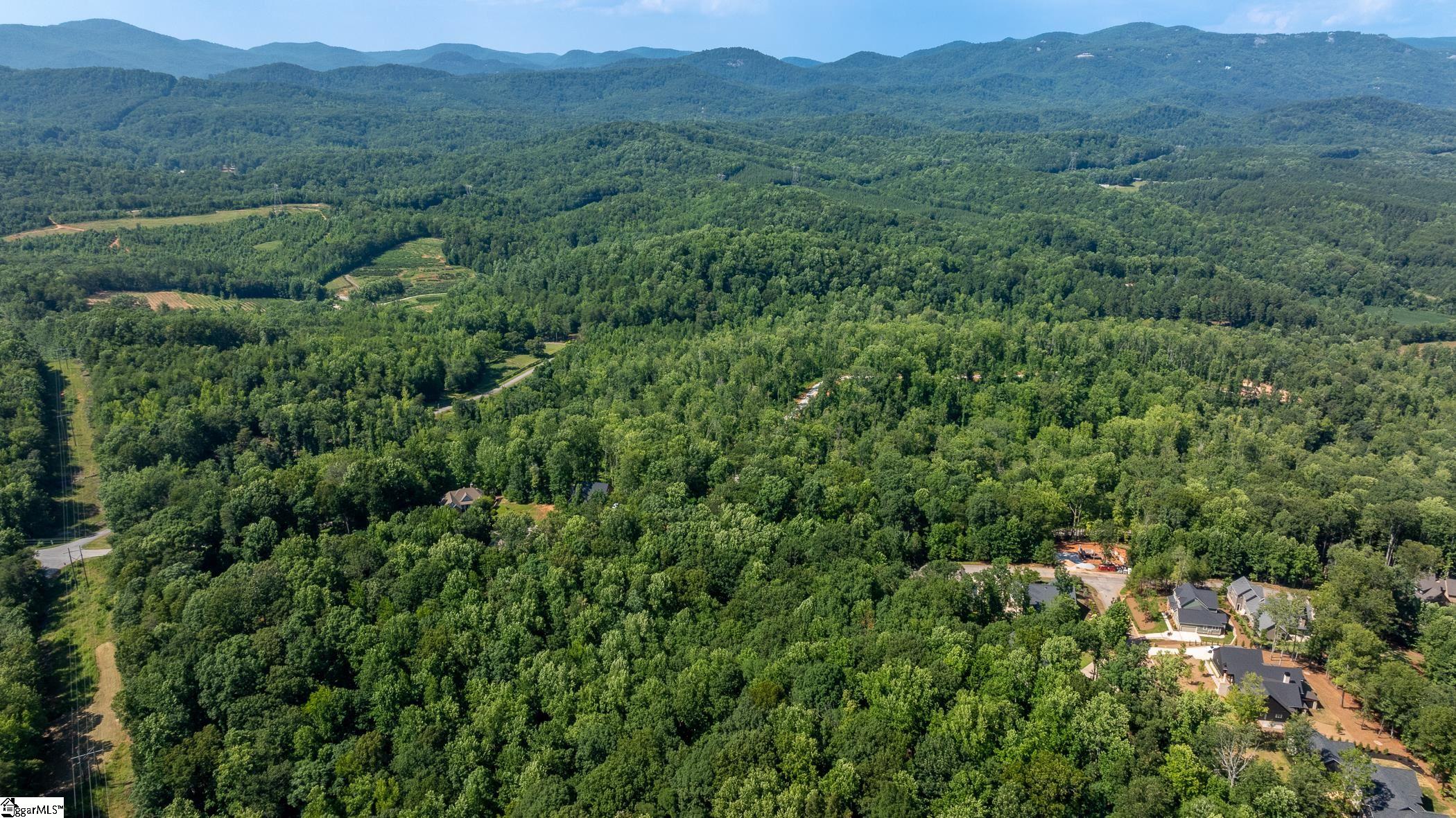 313 Laurel Valley Way Travelers Rest, SC 29690