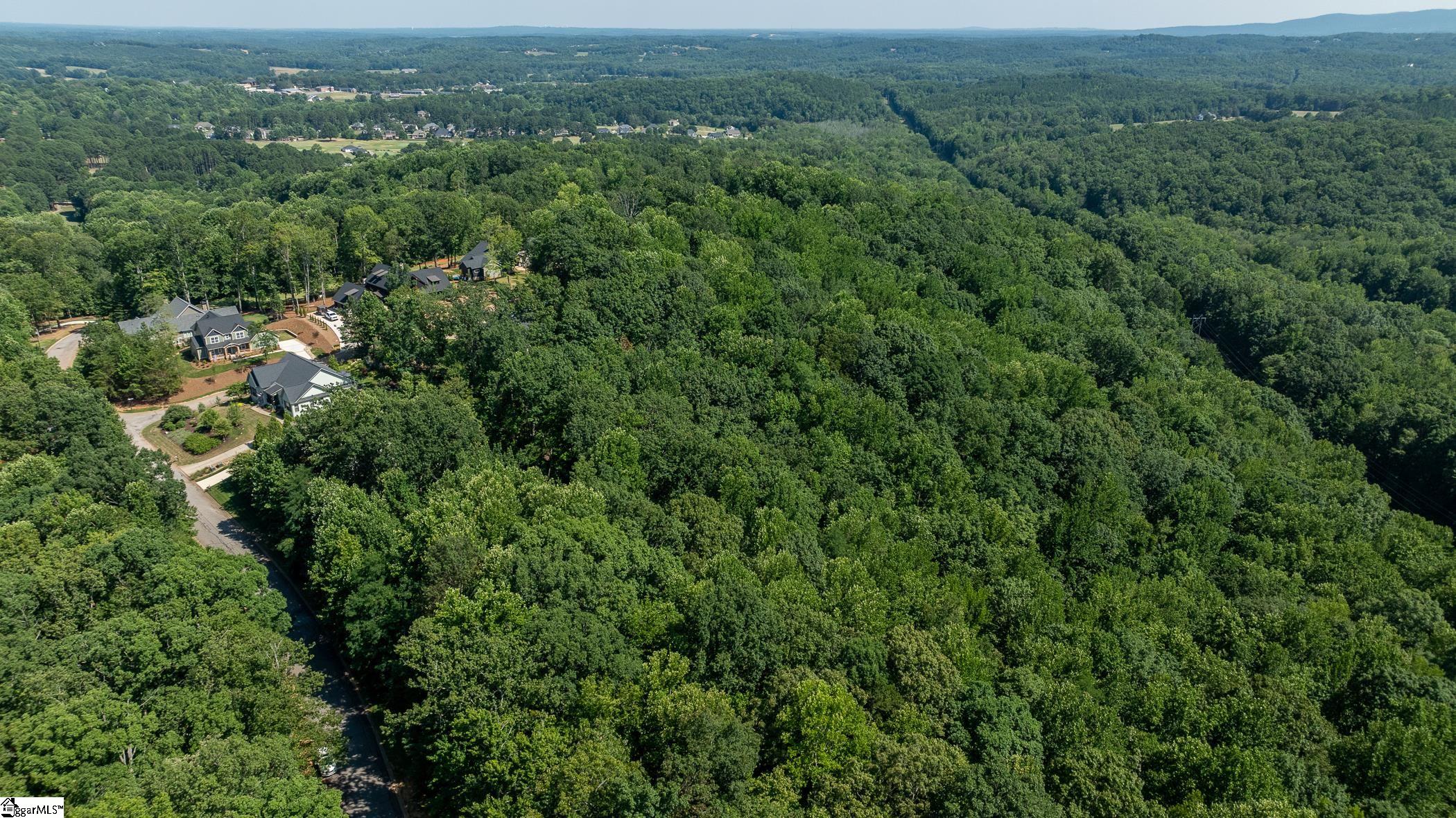 313 Laurel Valley Way Travelers Rest, SC 29690