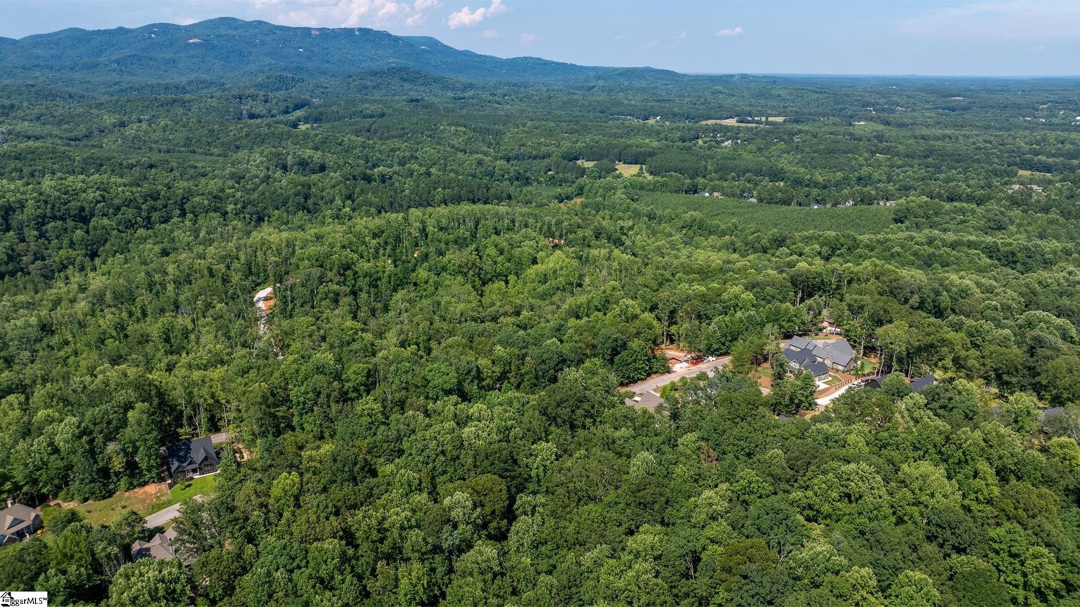 313 Laurel Valley Way Travelers Rest, SC 29690