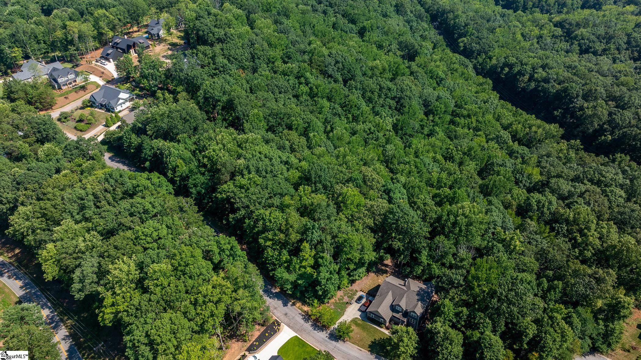 313 Laurel Valley Way Travelers Rest, SC 29690