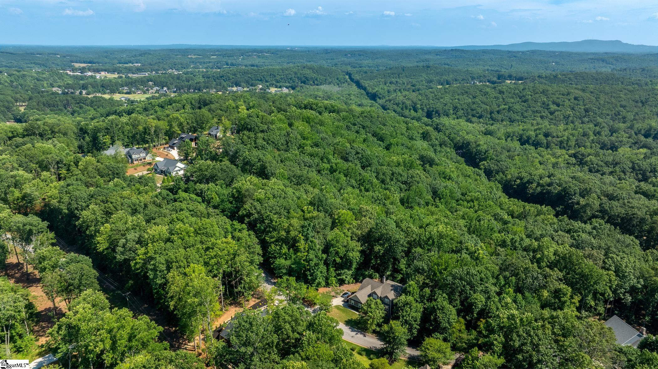 313 Laurel Valley Way Travelers Rest, SC 29690