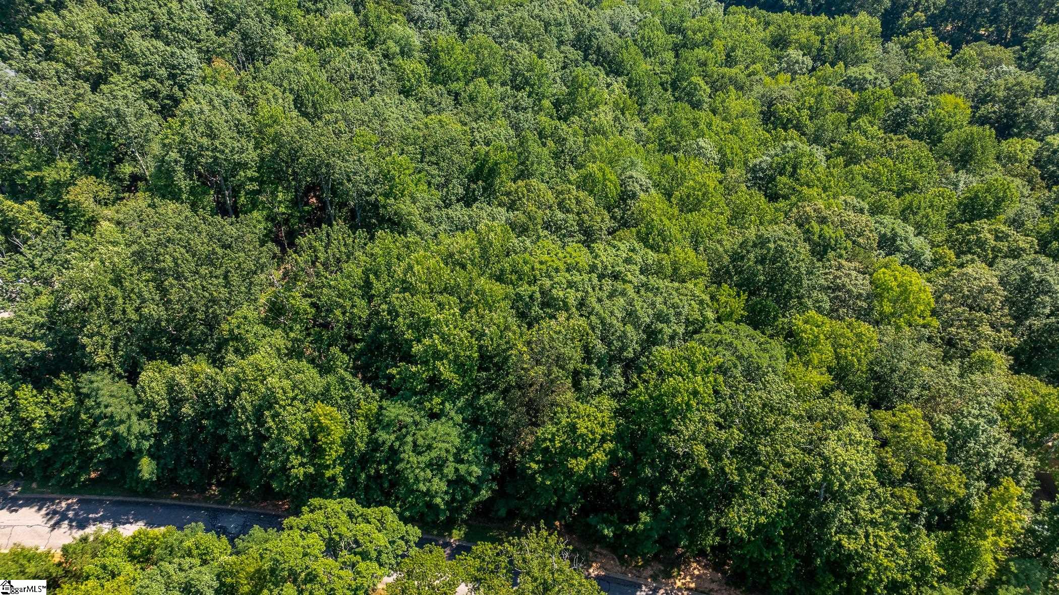 317 Laurel Valley Way Travelers Rest, SC 29690