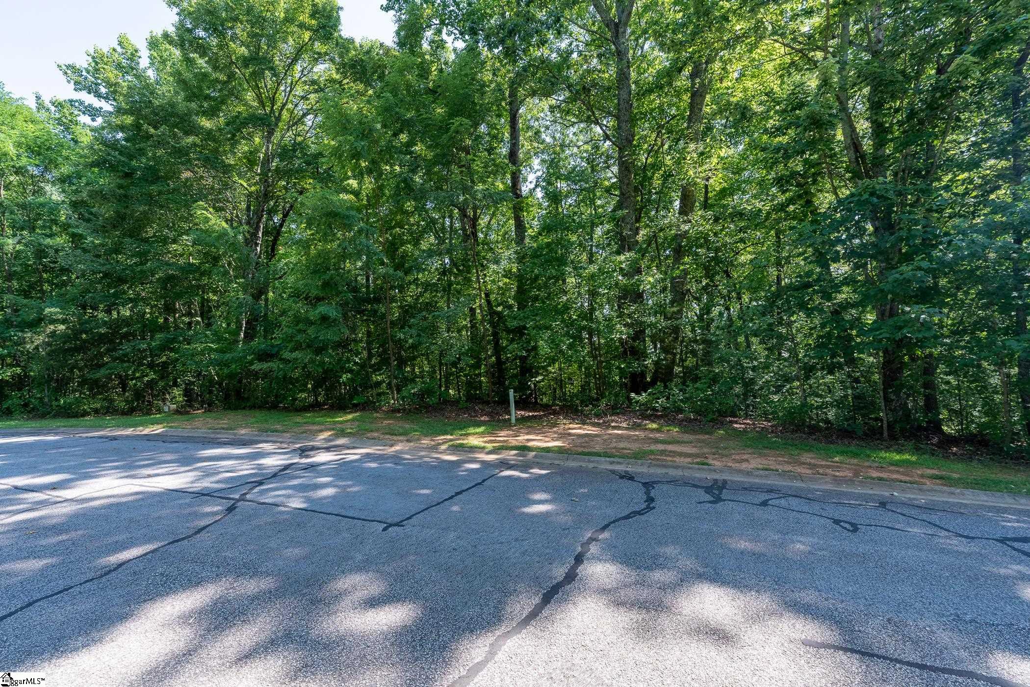 317 Laurel Valley Way Travelers Rest, SC 29690