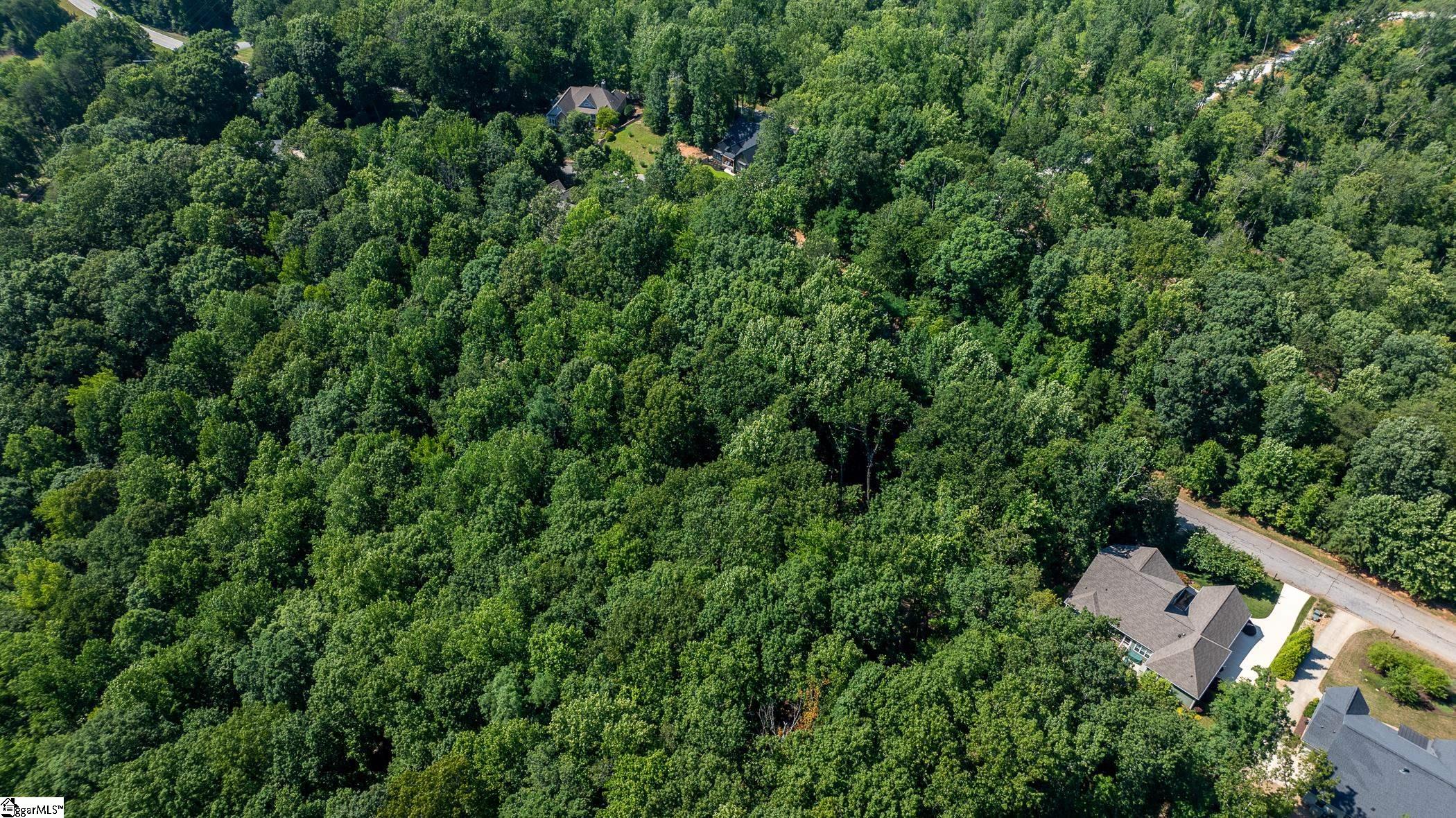 317 Laurel Valley Way Travelers Rest, SC 29690