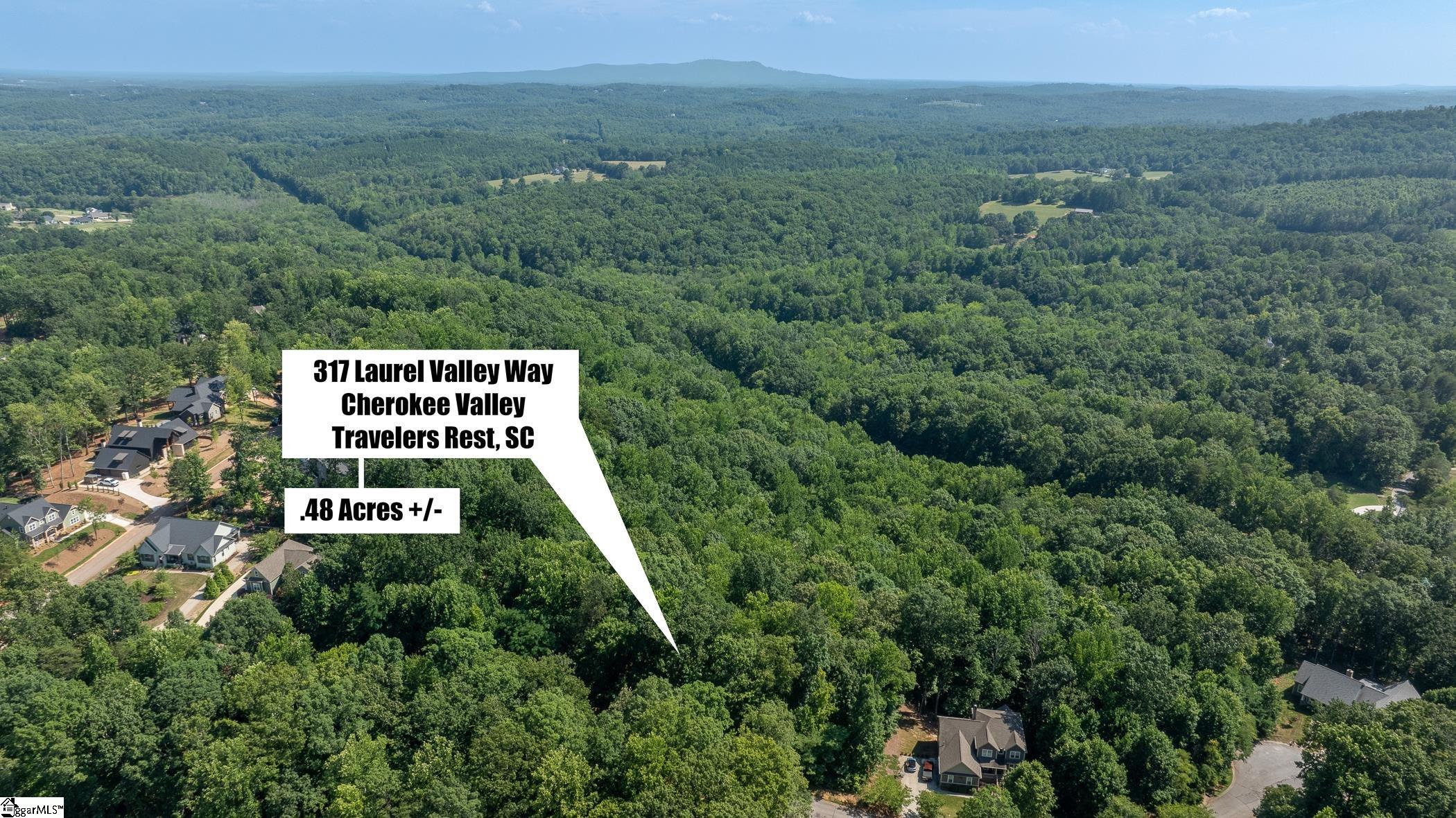 317 Laurel Valley Way Travelers Rest, SC 29690