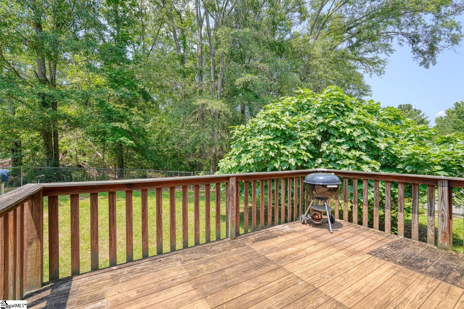 248 Hawthorne Avenue Woodruff, SC 29388
