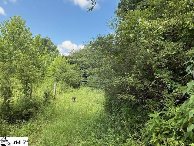 0000 Freeman Bridge Road Marietta, SC 29661