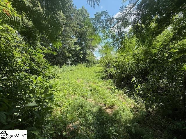 0000 Freeman Bridge Road Marietta, SC 29661