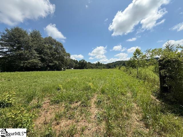 0000 Freeman Bridge Road Marietta, SC 29661