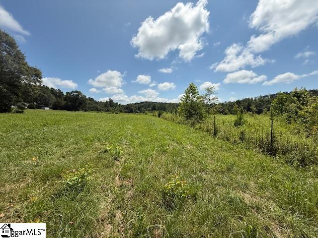 0000 Freeman Bridge Road Marietta, SC 29661