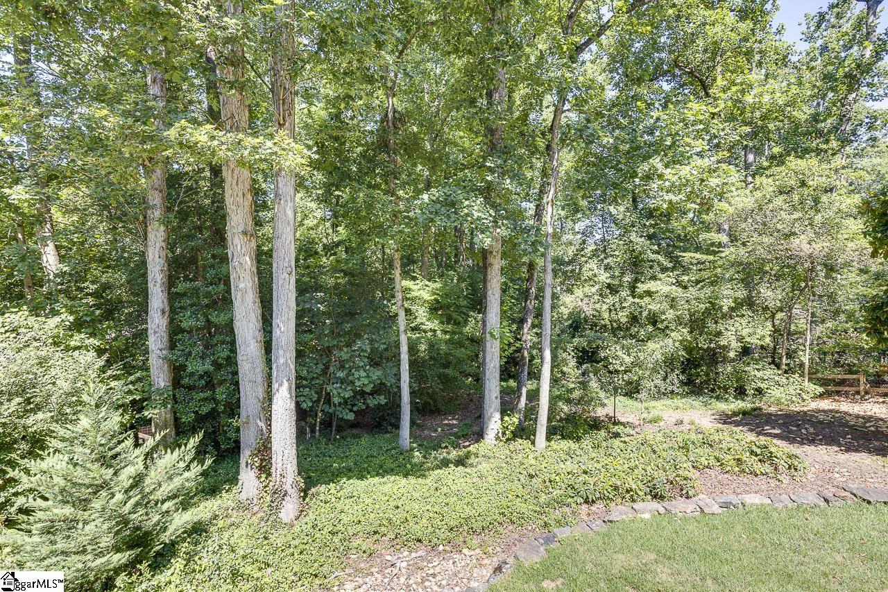 205 Firethorne Drive Greer, SC 29650