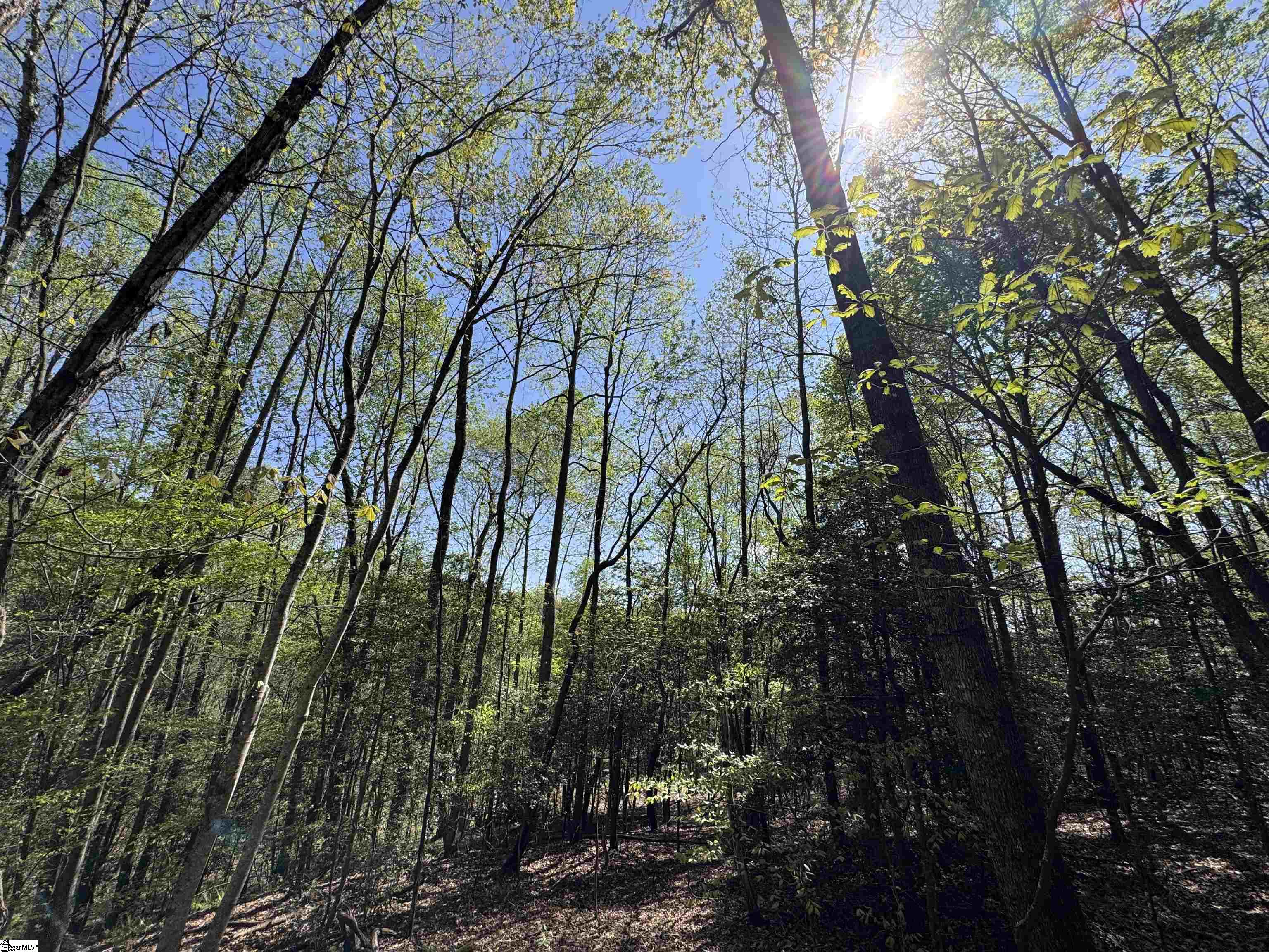 8875 N Tigerville Road Travelers Rest, SC 29690