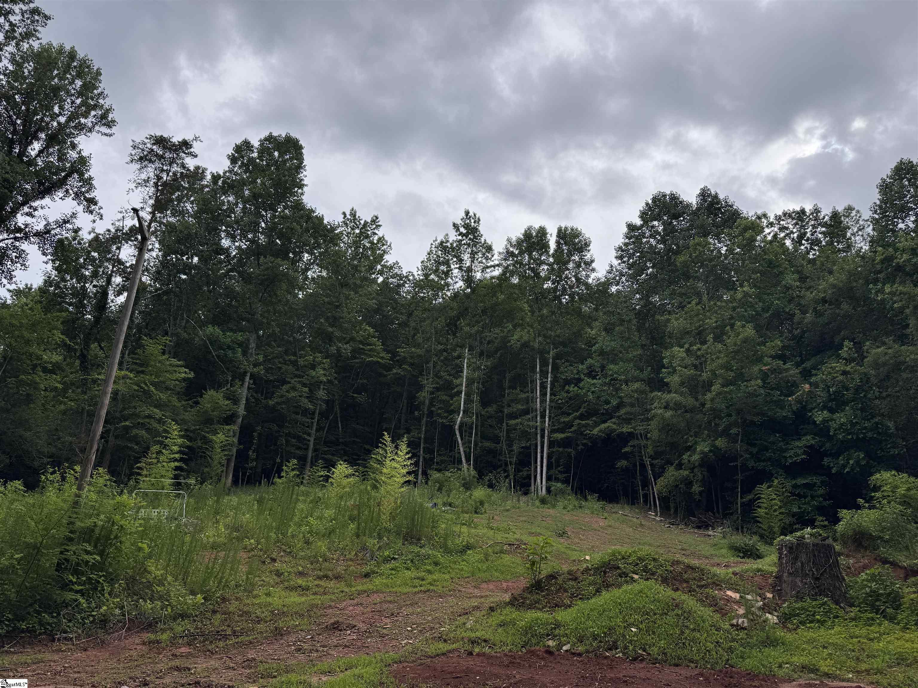 8875 N Tigerville Road Travelers Rest, SC 29690