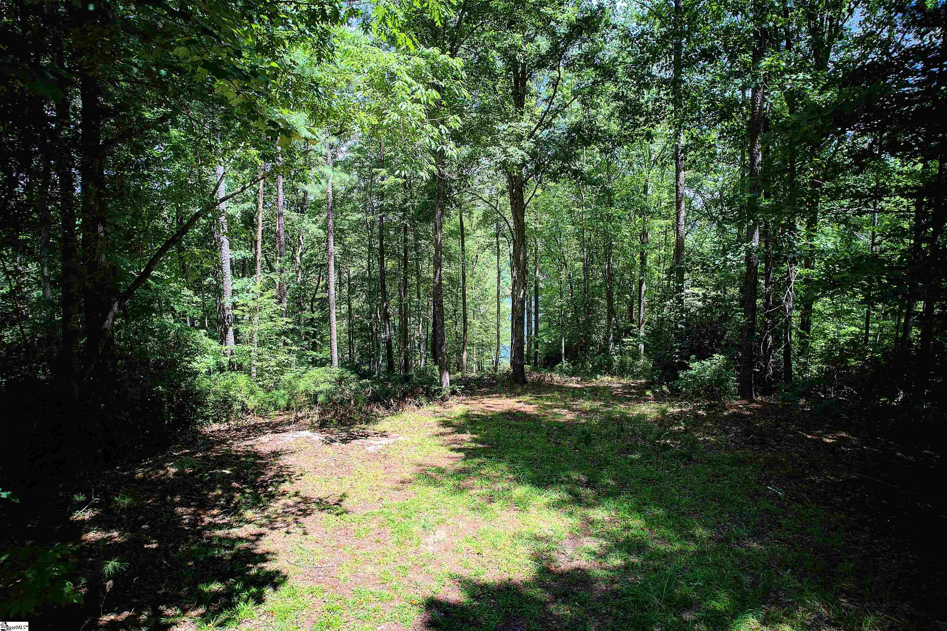 346 Long Cove Trail Salem, SC 29676