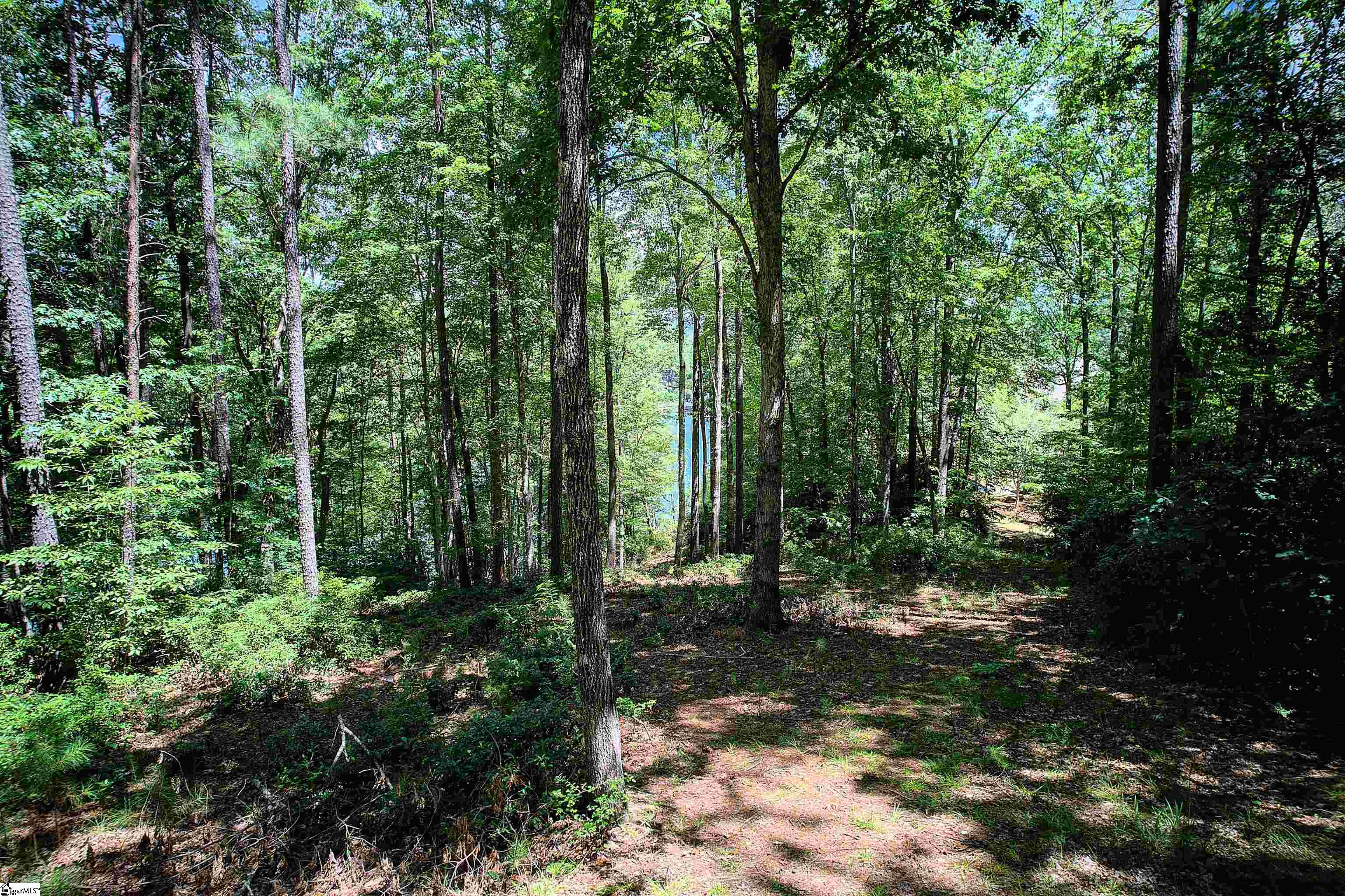 346 Long Cove Trail Salem, SC 29676