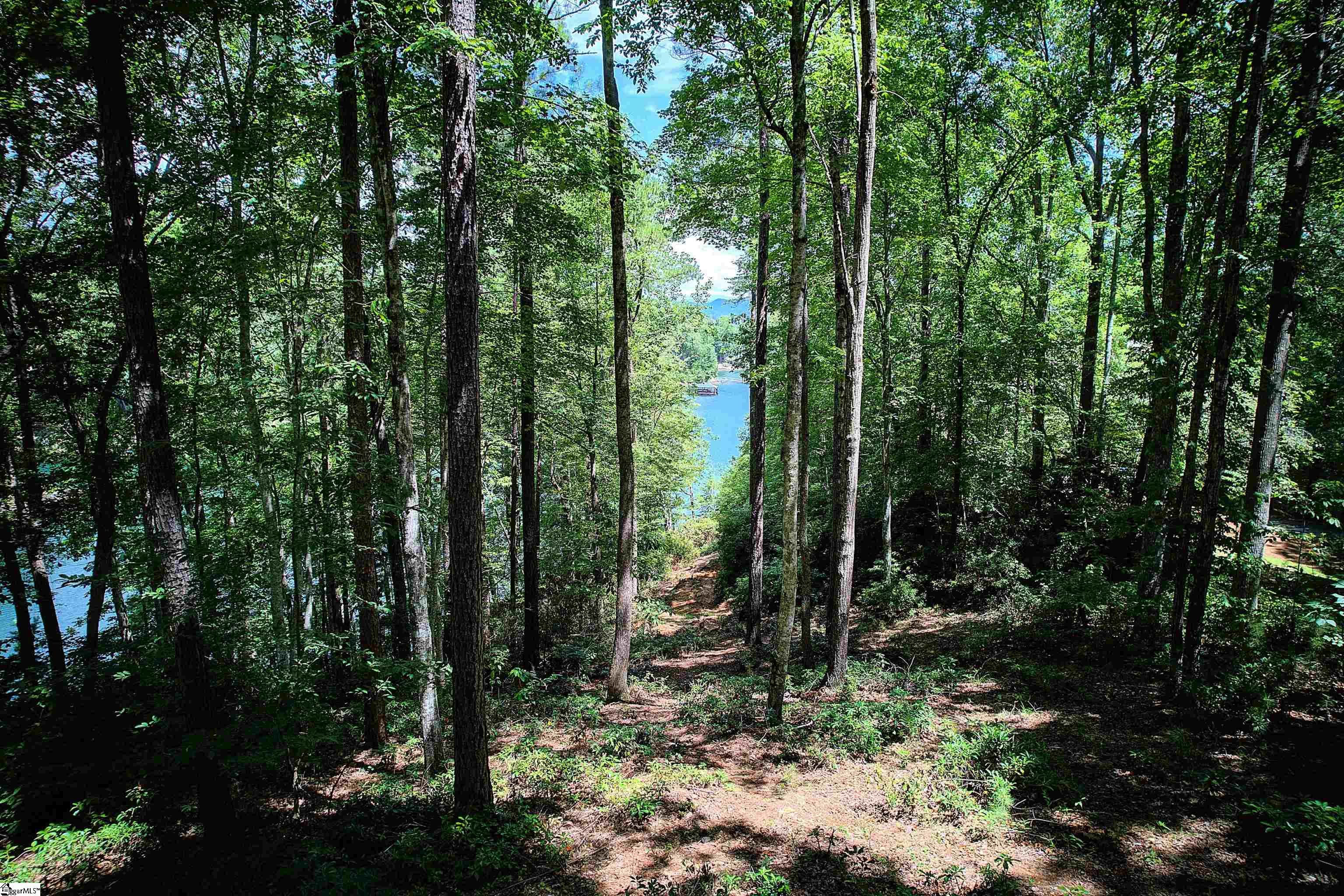 346 Long Cove Trail Salem, SC 29676