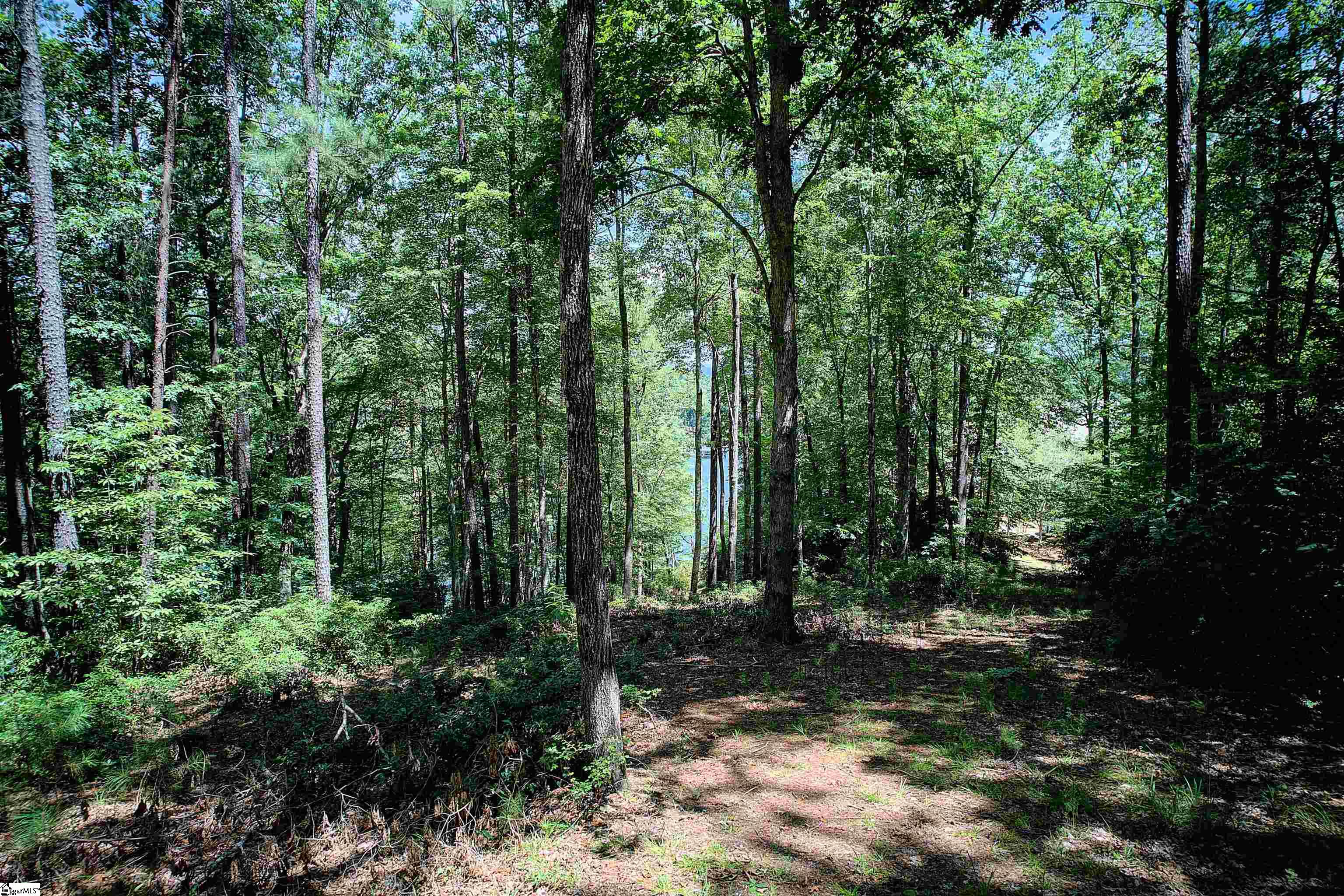 346 Long Cove Trail Salem, SC 29676