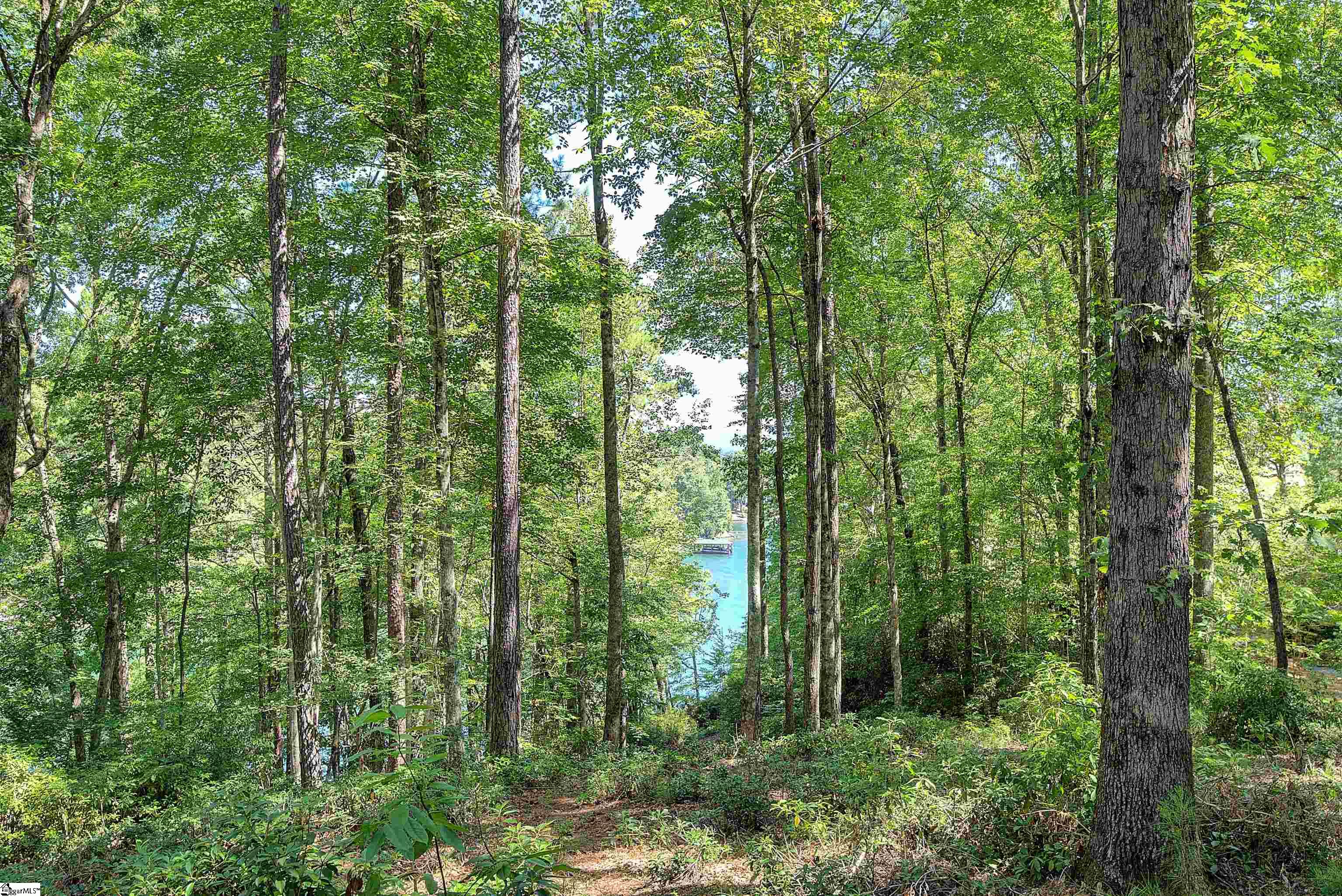 346 Long Cove Trail Salem, SC 29676