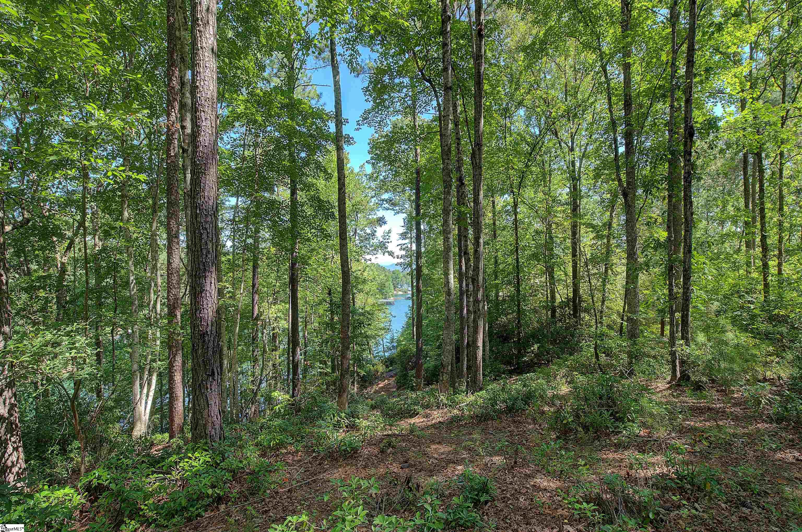 346 Long Cove Trail Salem, SC 29676