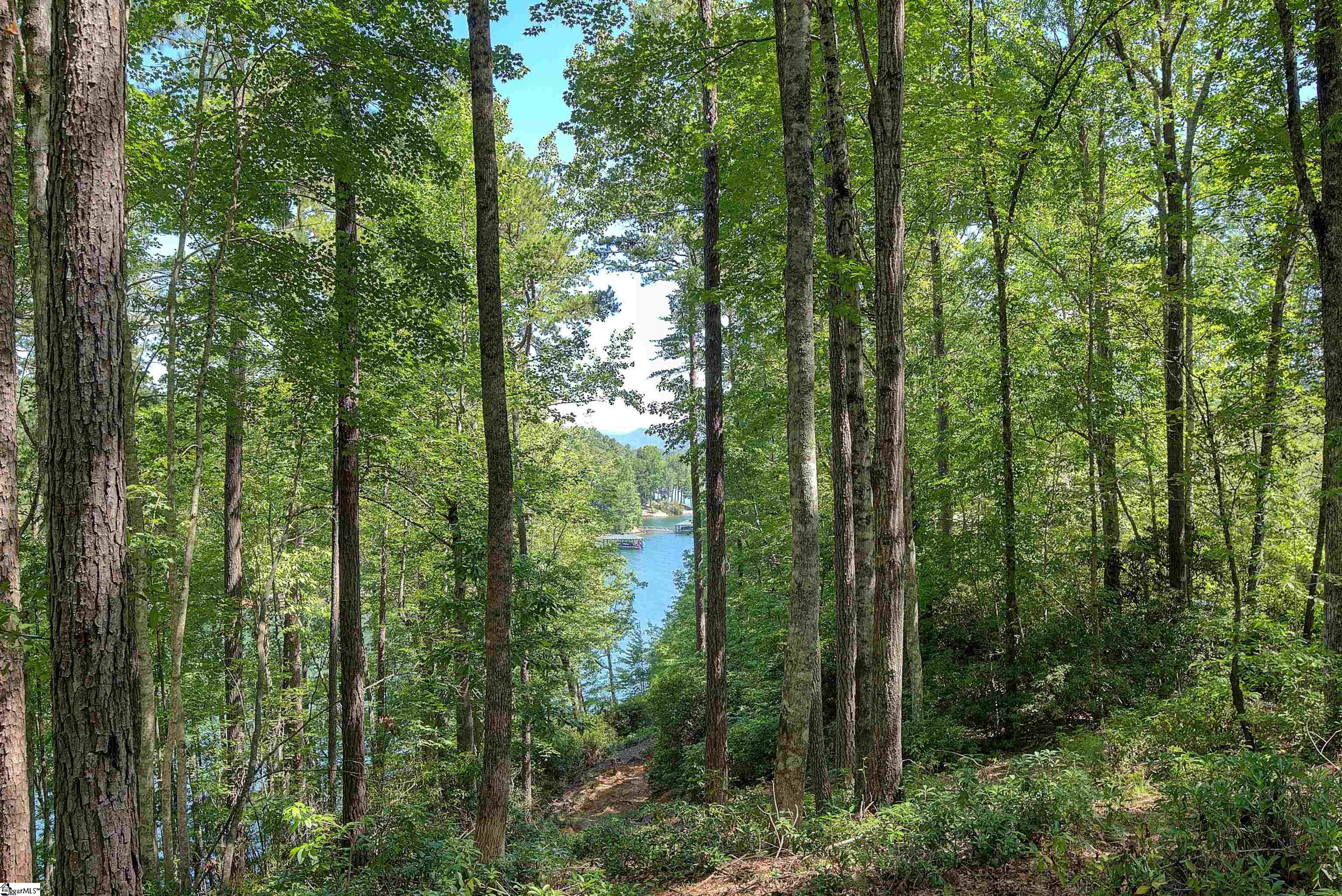 346 Long Cove Trail Salem, SC 29676