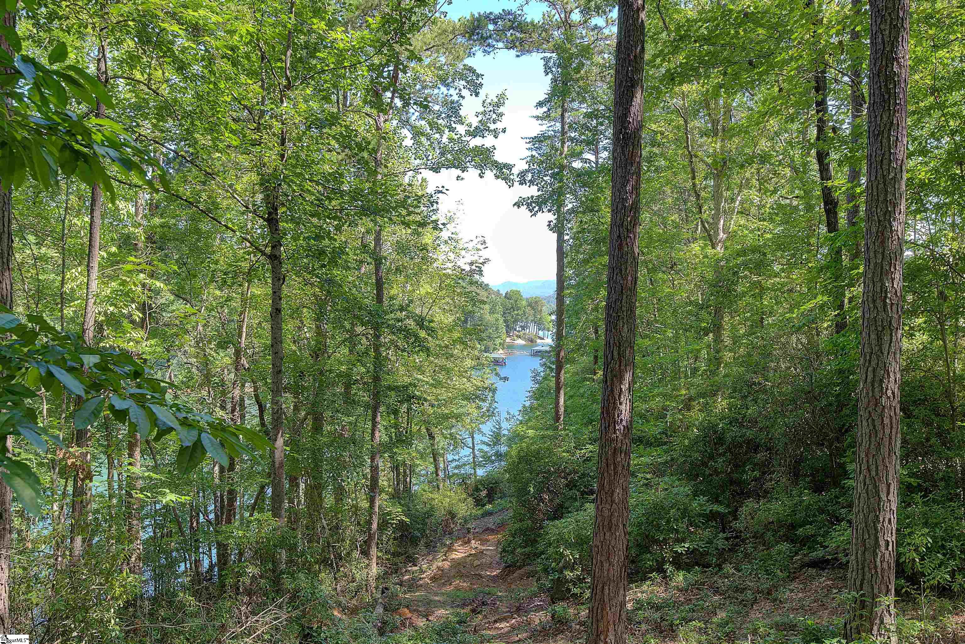 346 Long Cove Trail Salem, SC 29676
