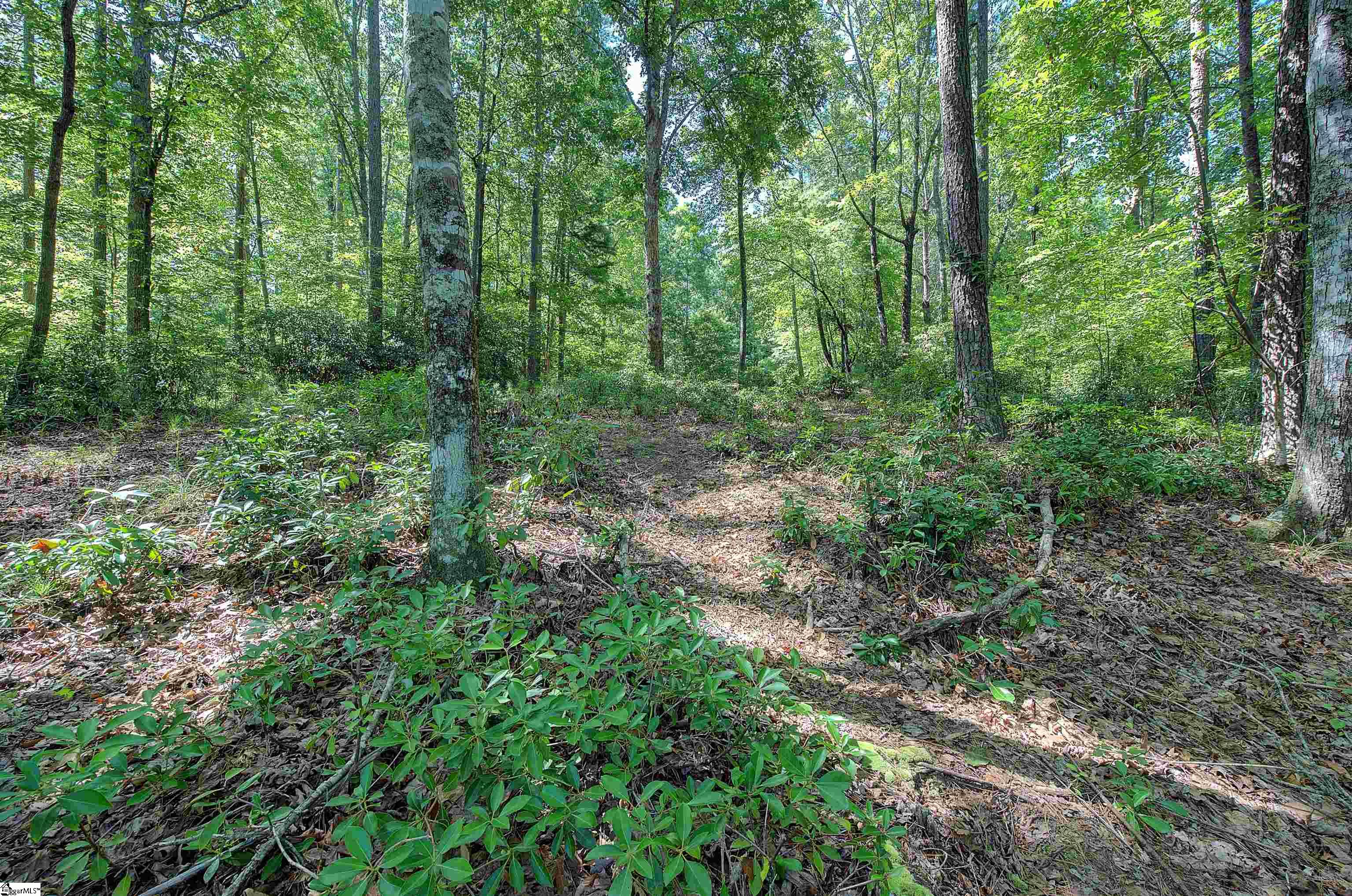 346 Long Cove Trail Salem, SC 29676