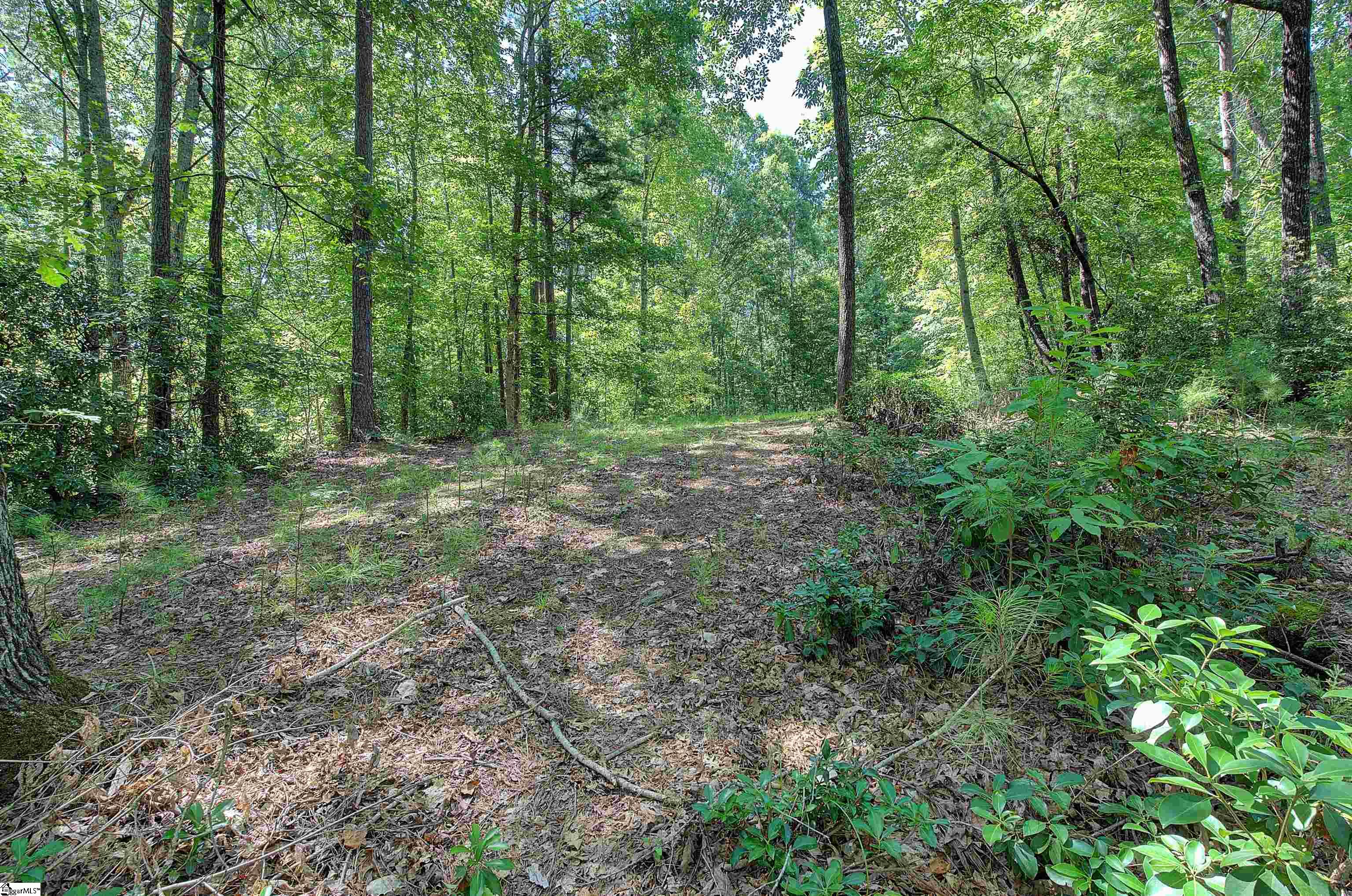 346 Long Cove Trail Salem, SC 29676