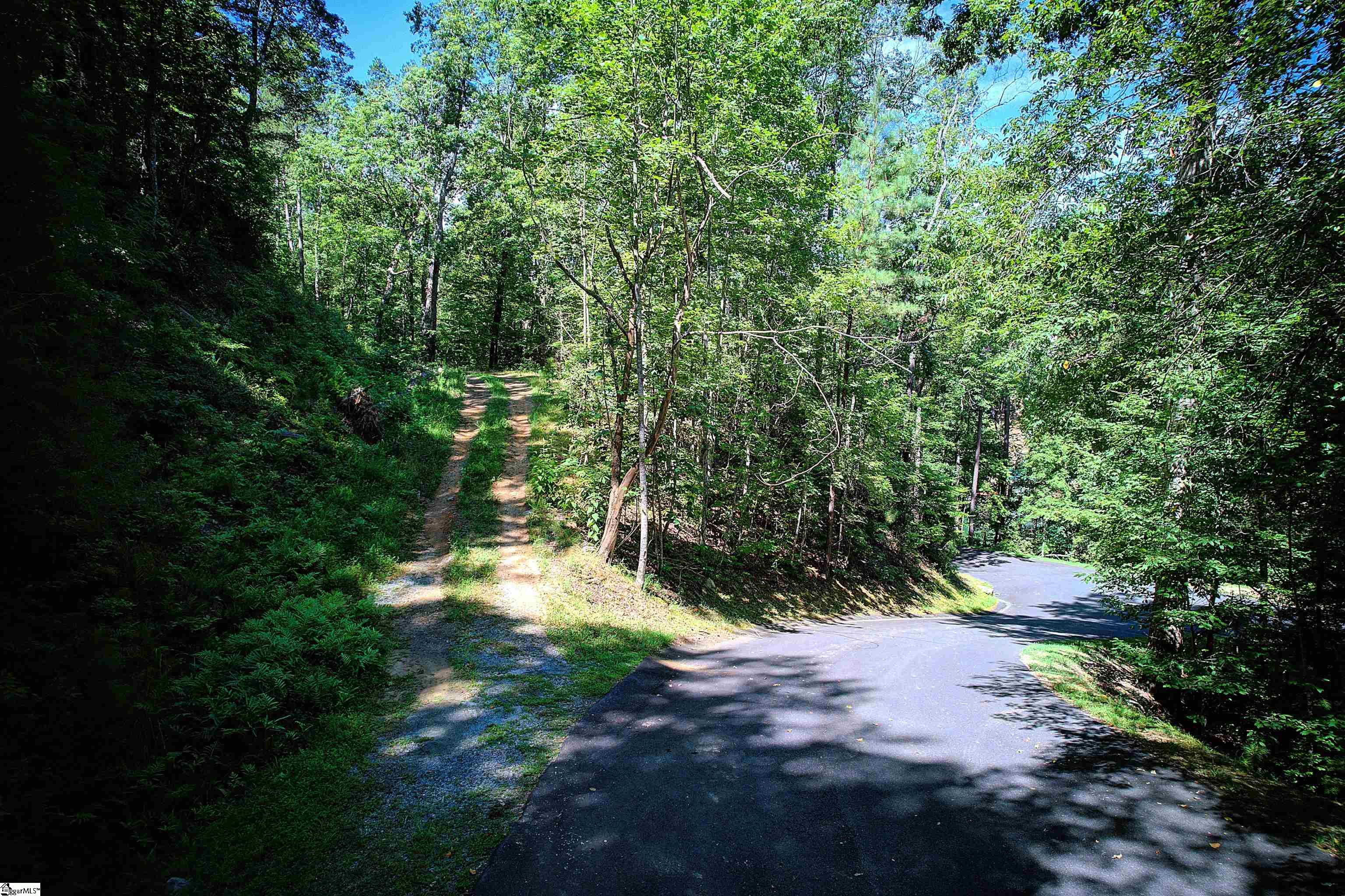 346 Long Cove Trail Salem, SC 29676