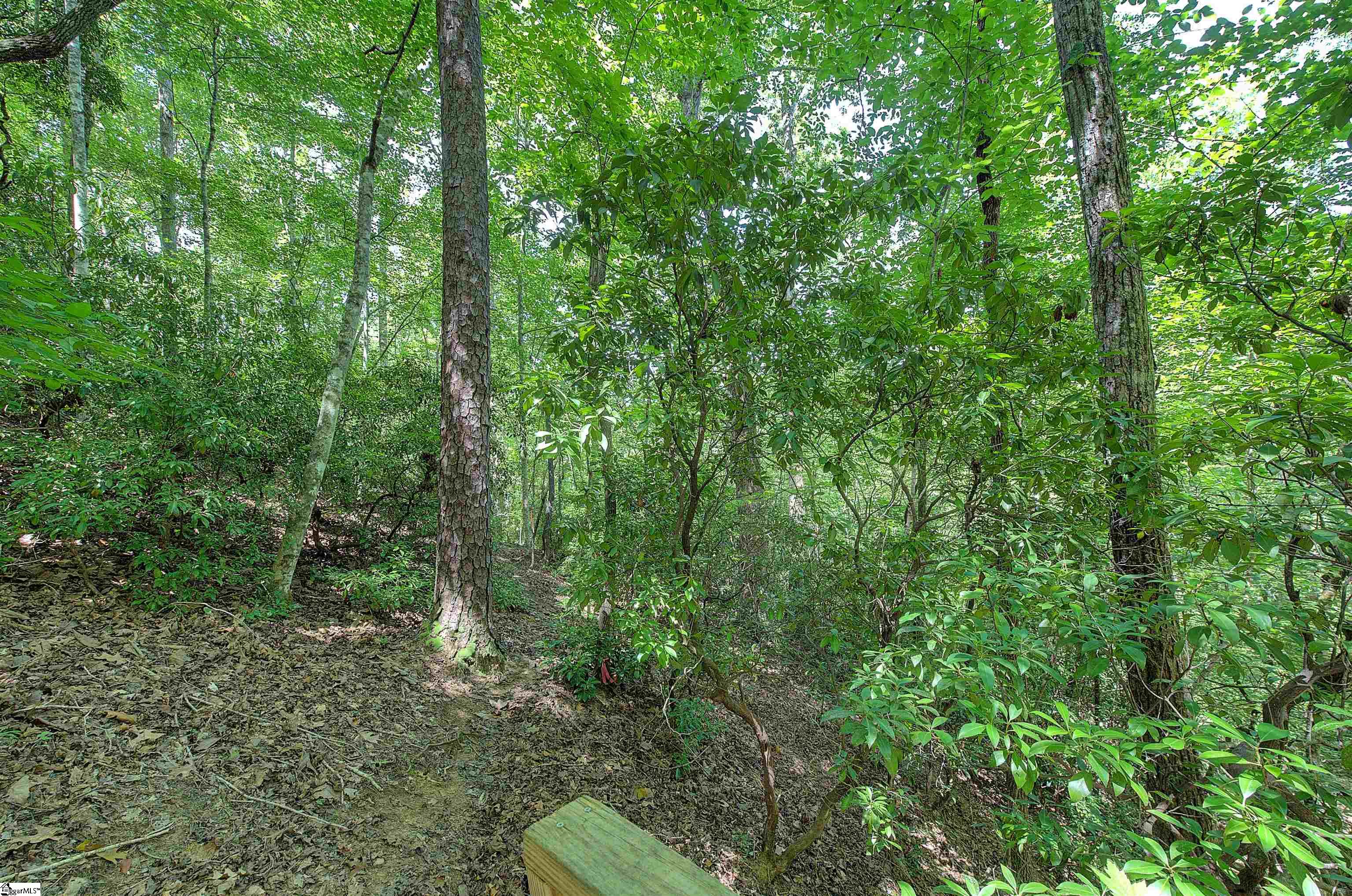 346 Long Cove Trail Salem, SC 29676