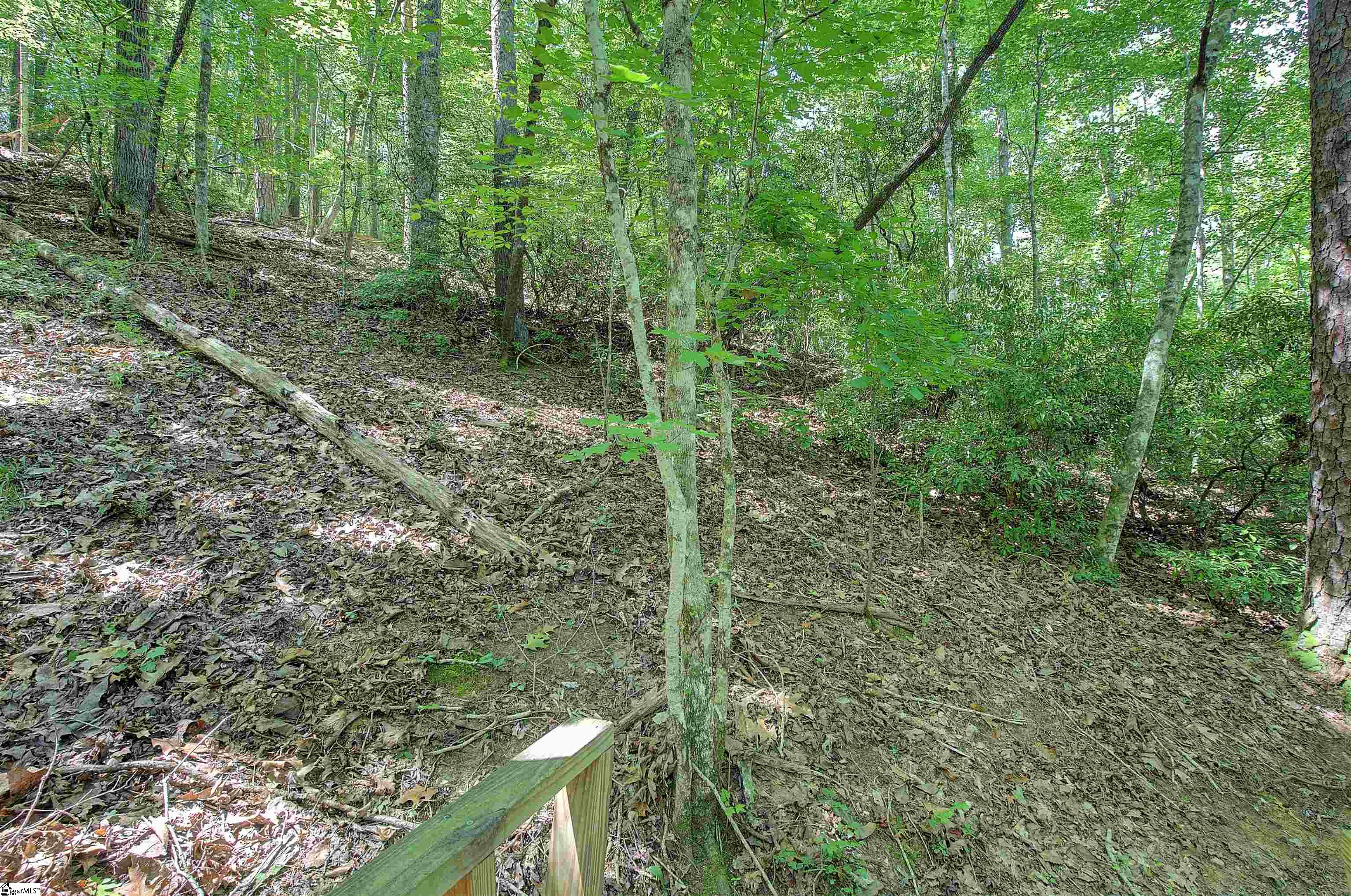 346 Long Cove Trail Salem, SC 29676