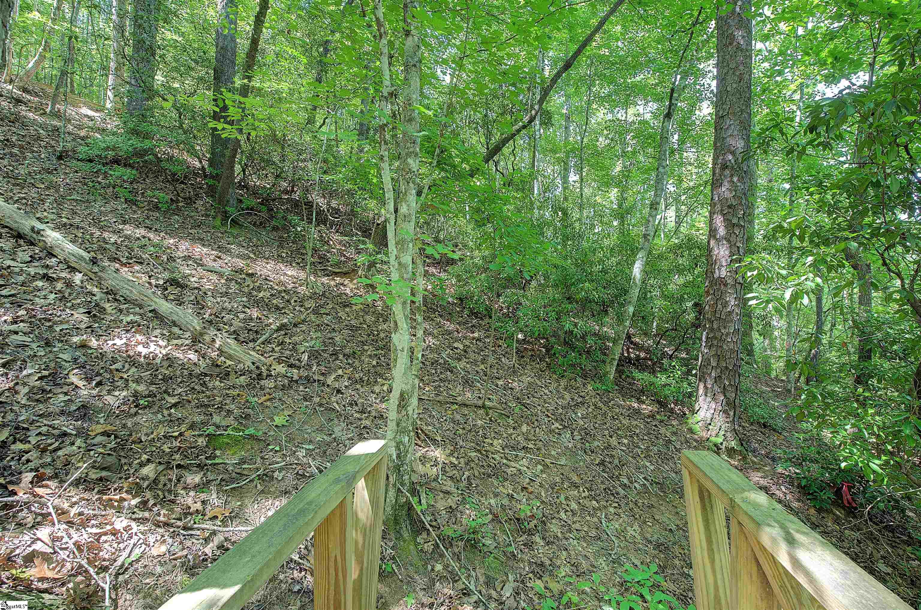 346 Long Cove Trail Salem, SC 29676