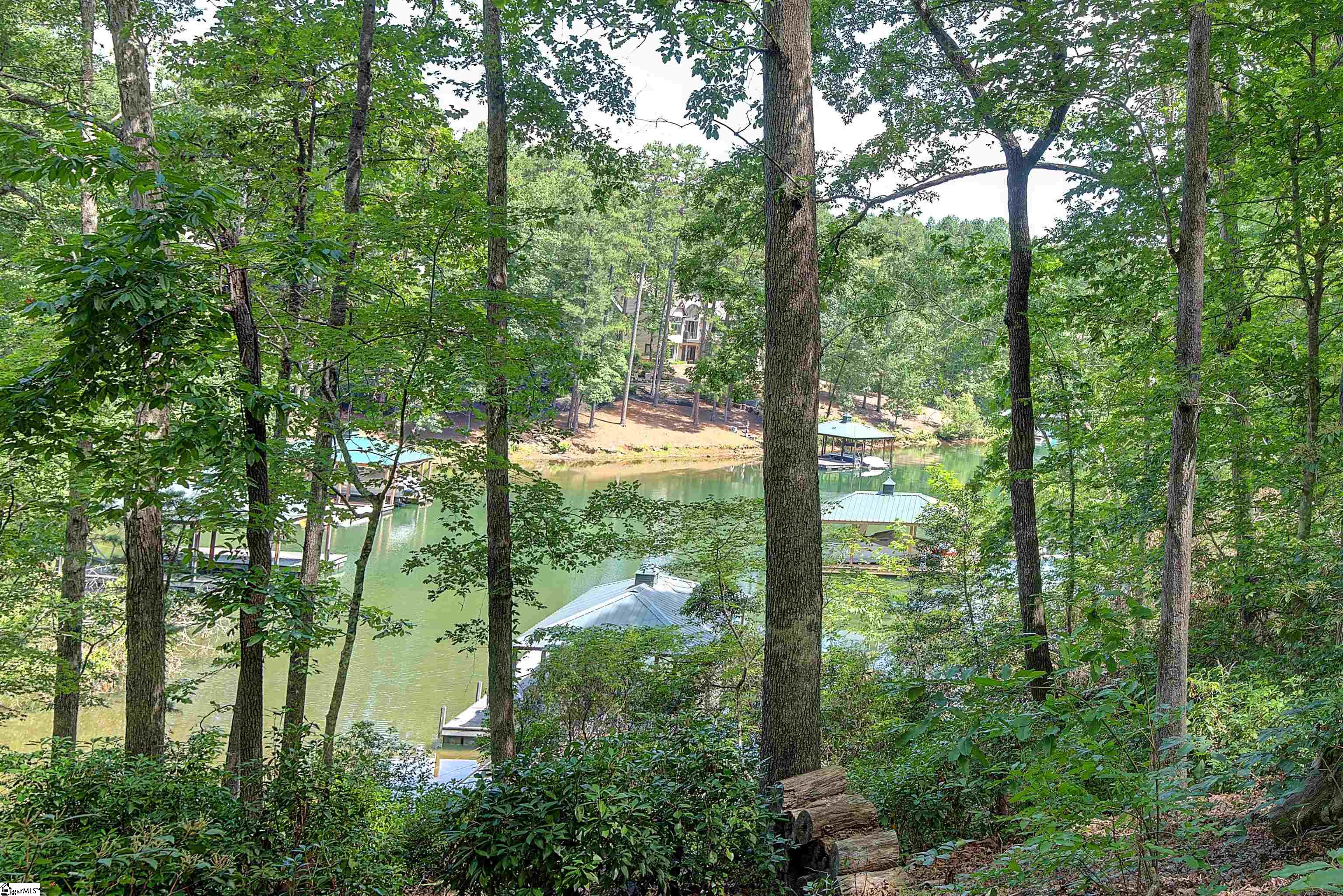 346 Long Cove Trail Salem, SC 29676