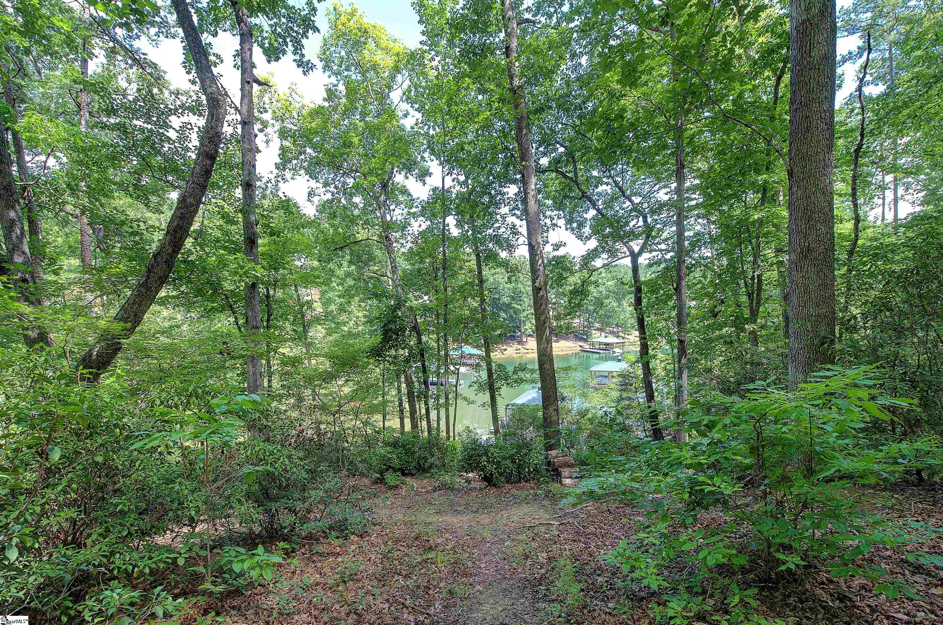 346 Long Cove Trail Salem, SC 29676