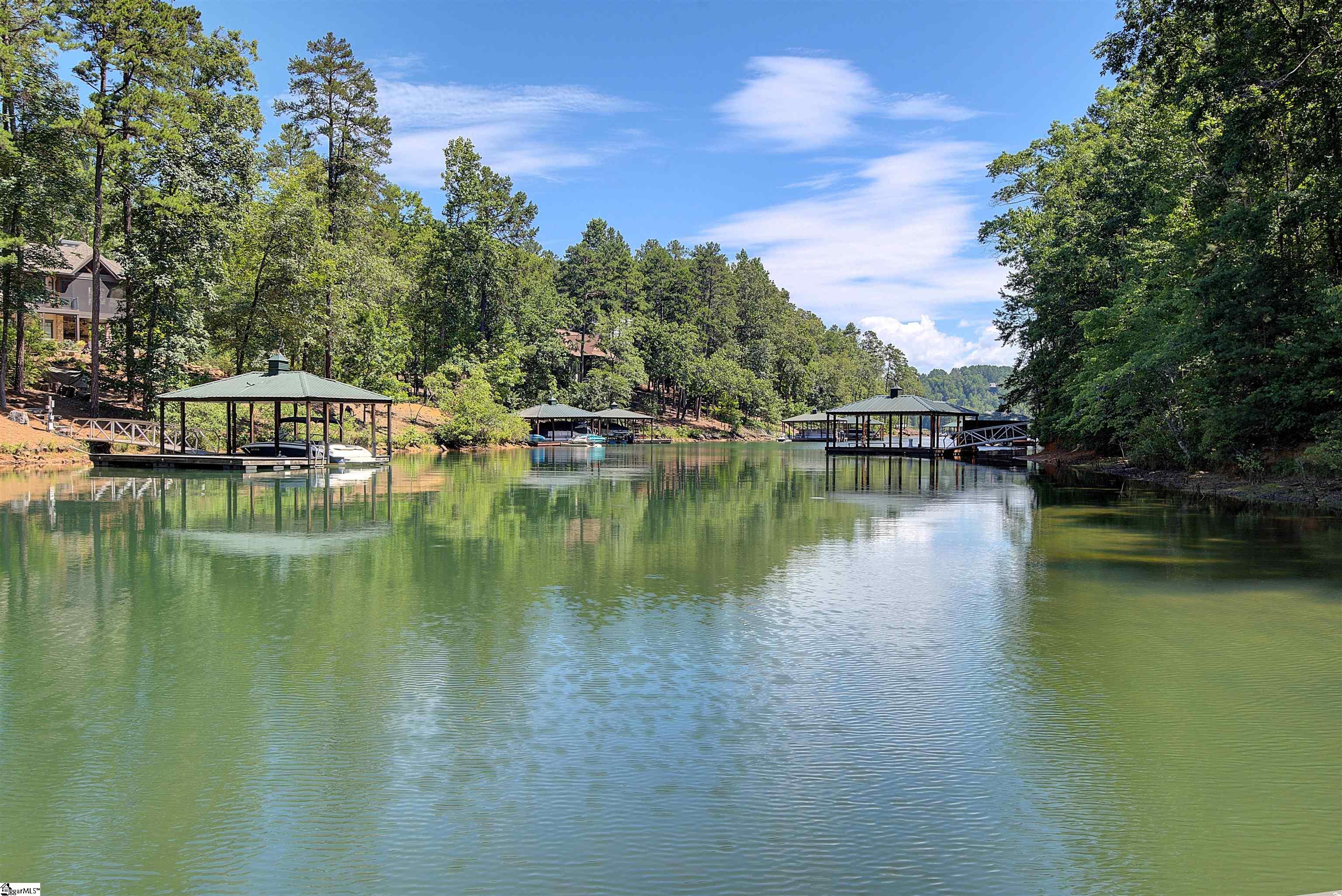 346 Long Cove Trail Salem, SC 29676