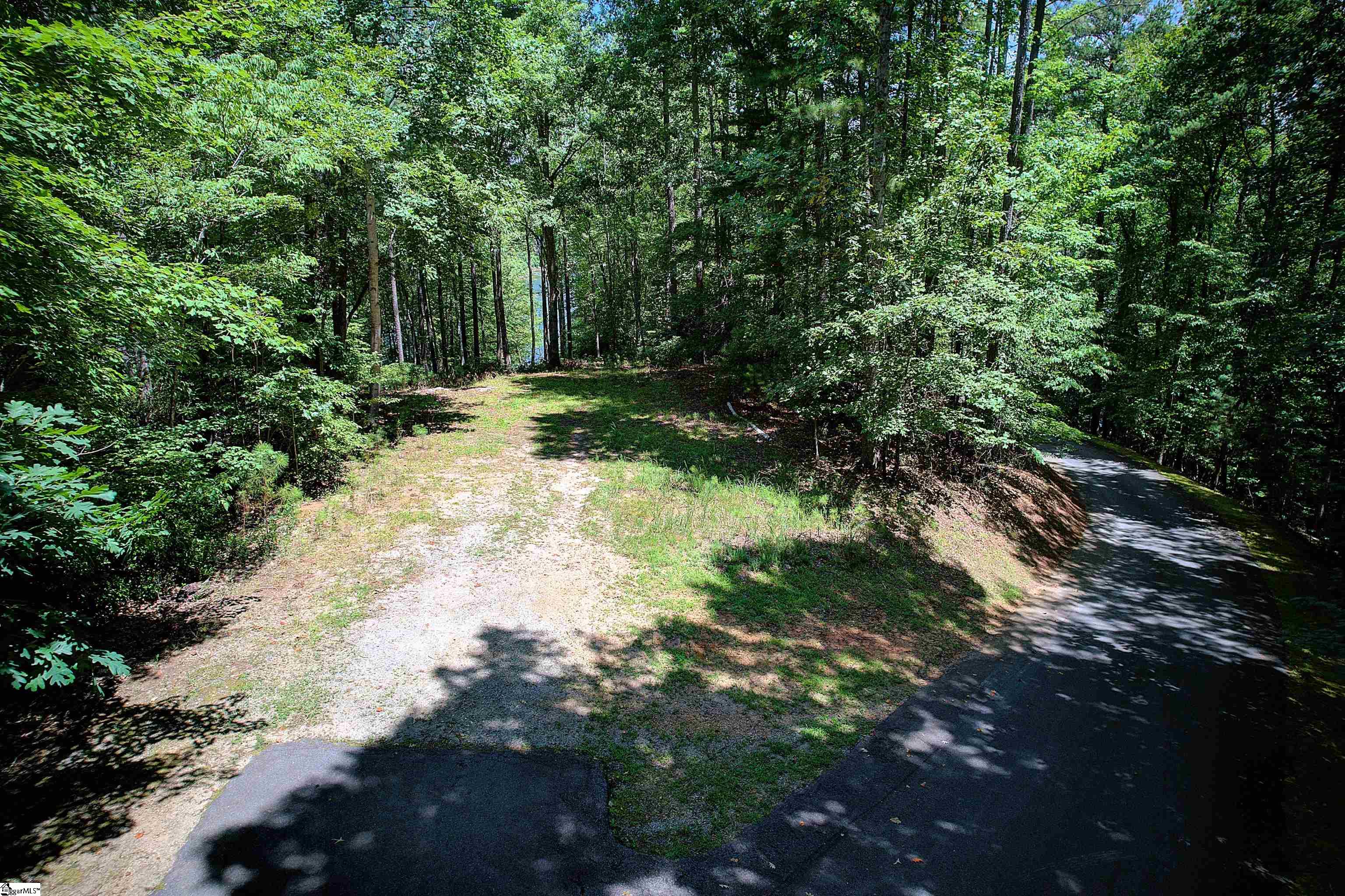 346 Long Cove Trail Salem, SC 29676