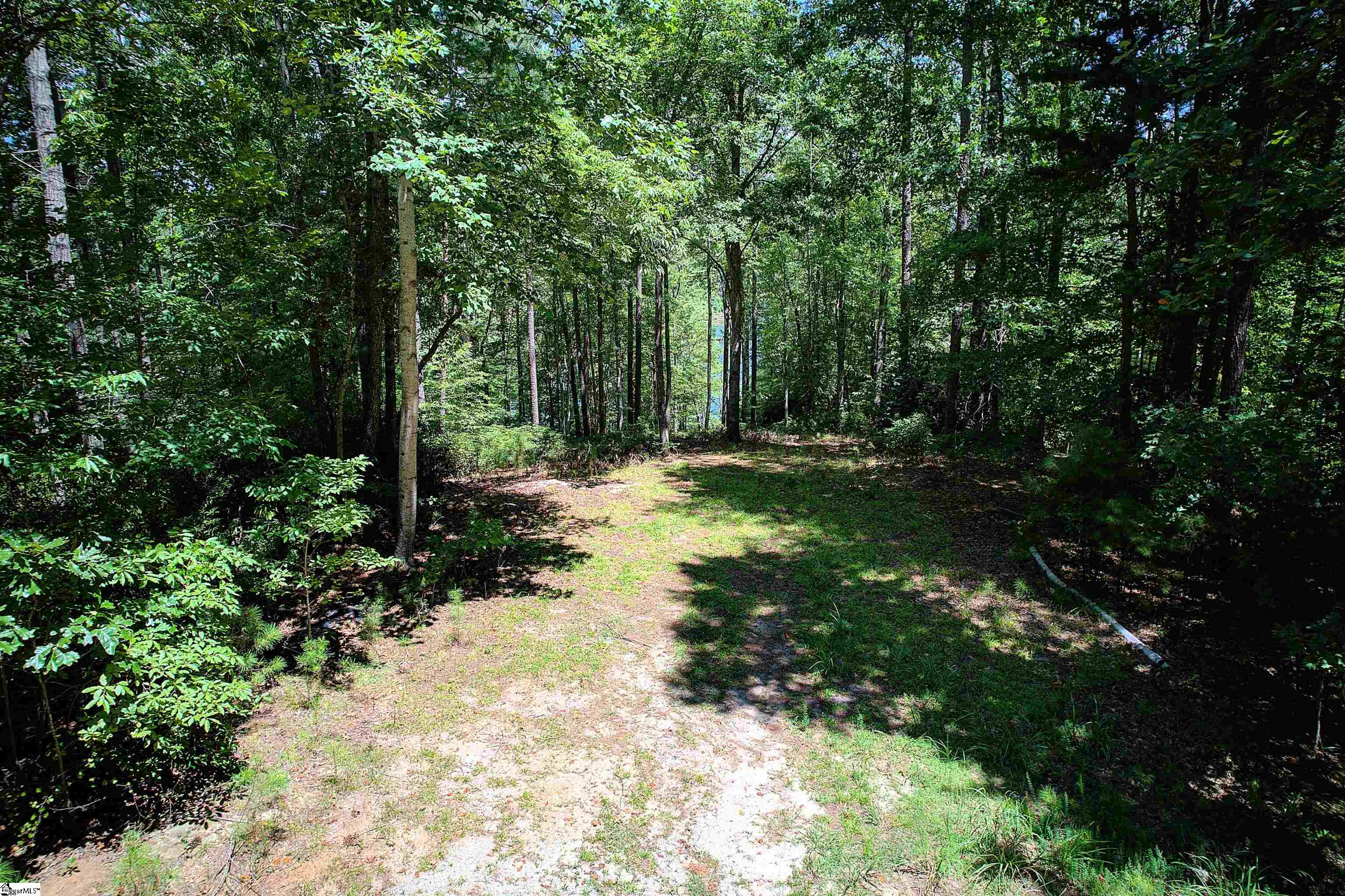 346 Long Cove Trail Salem, SC 29676