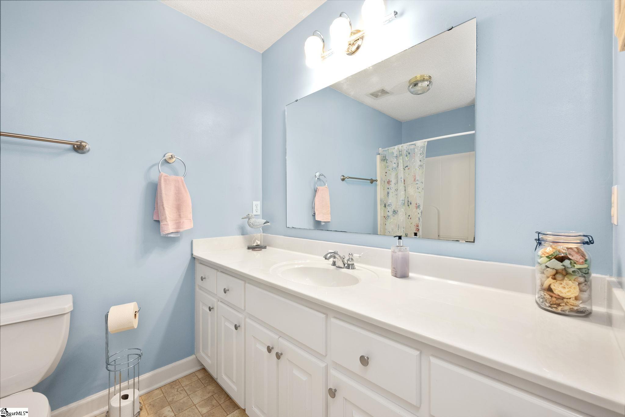 111 Brooke Lee Circle Taylors, SC 29687