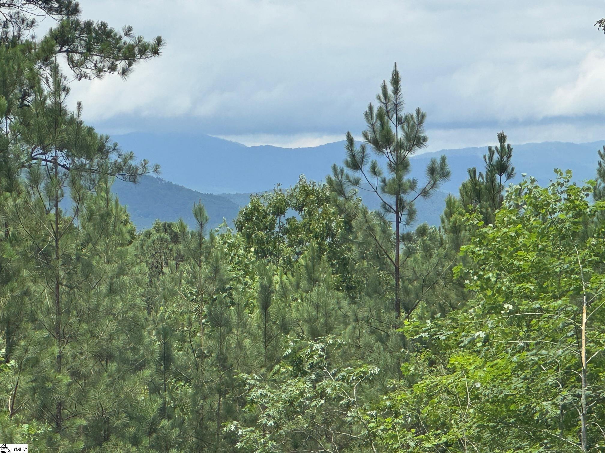 384 Cliffs South Parkway Salem, SC 29676