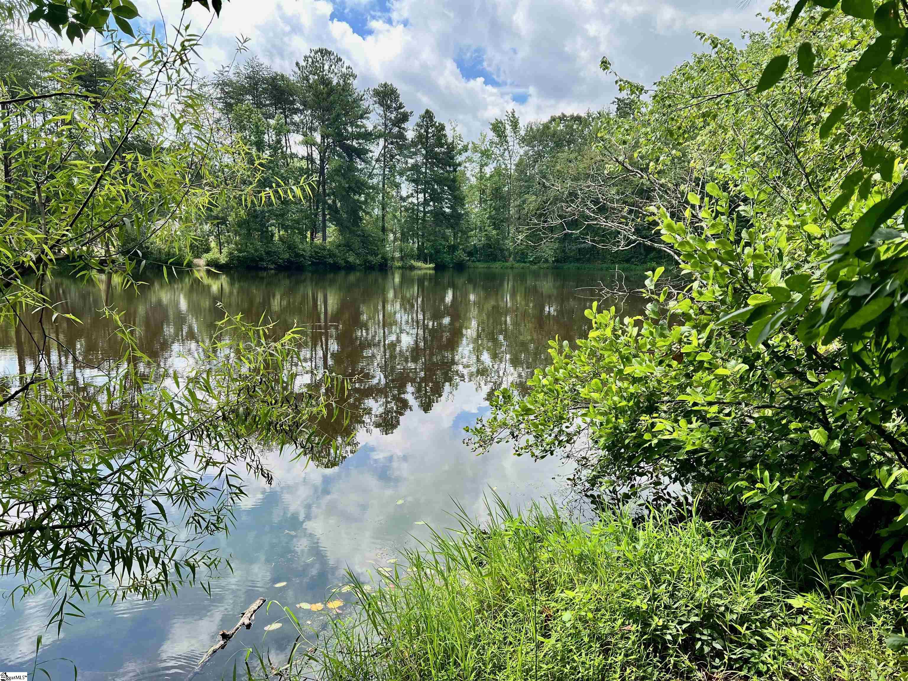 133 Hyssop Court Greenville, SC 29607