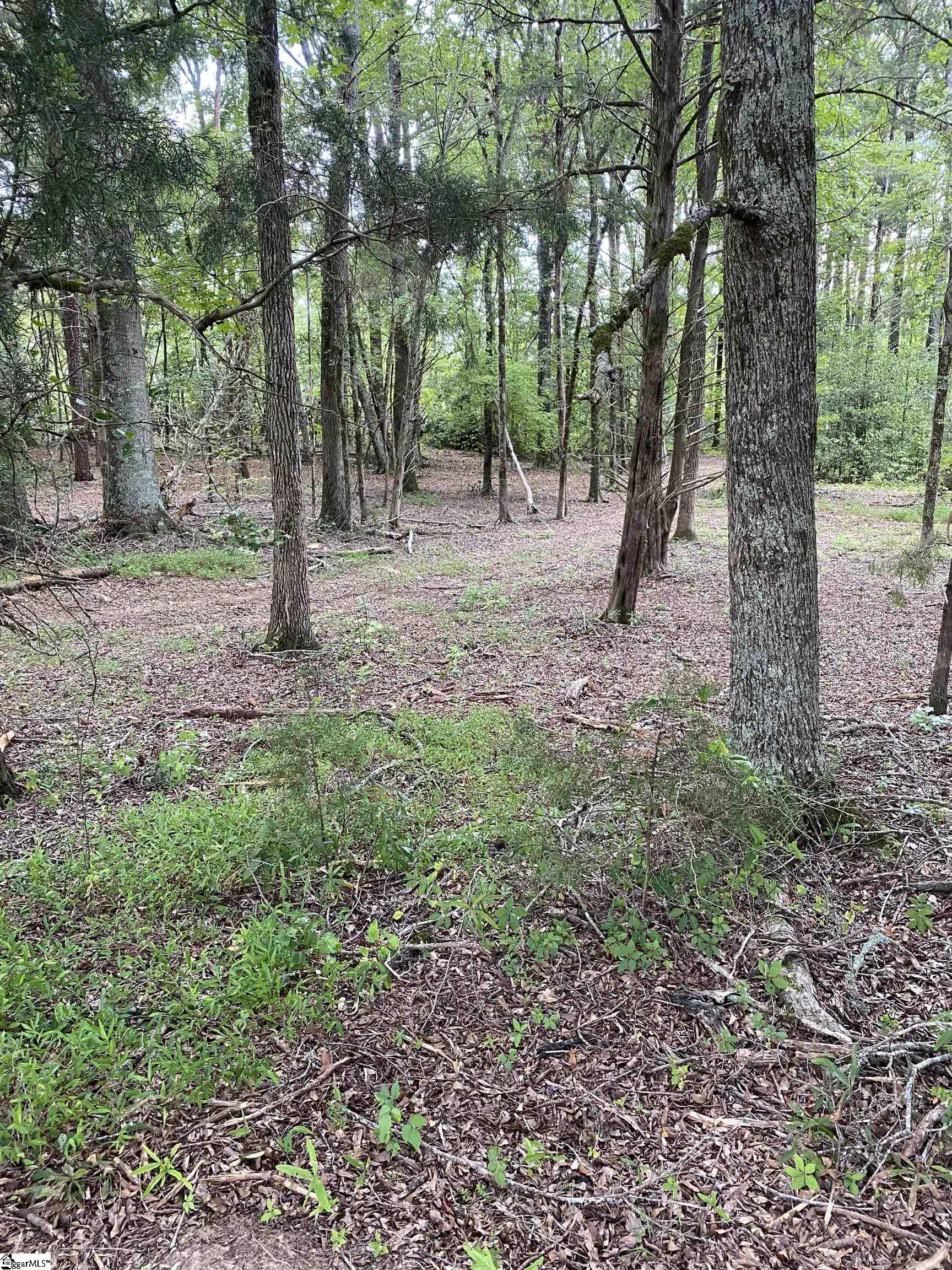 00 Edgewater Road Woodruff, SC 29388