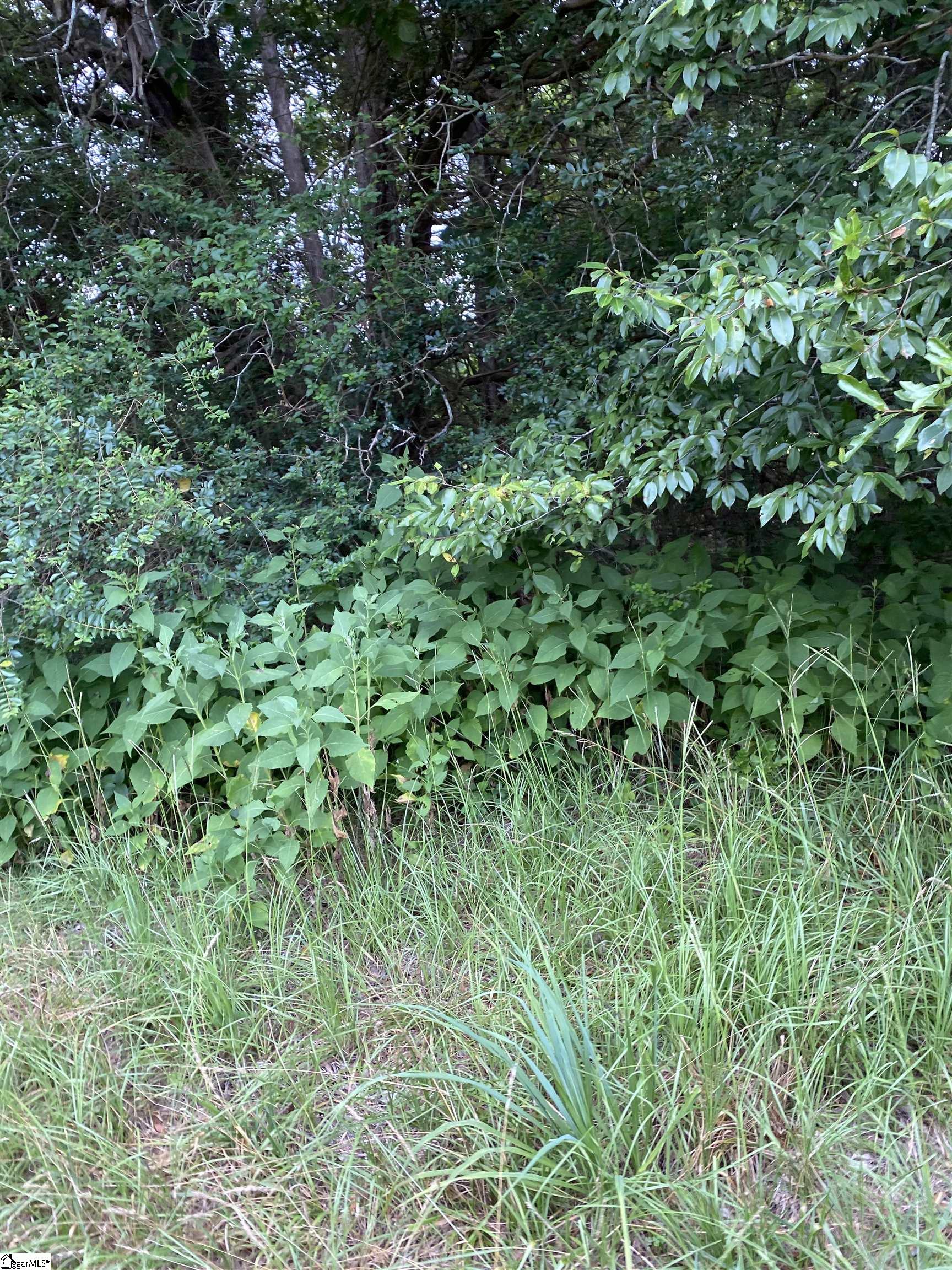 00 Edgewater Road Woodruff, SC 29388