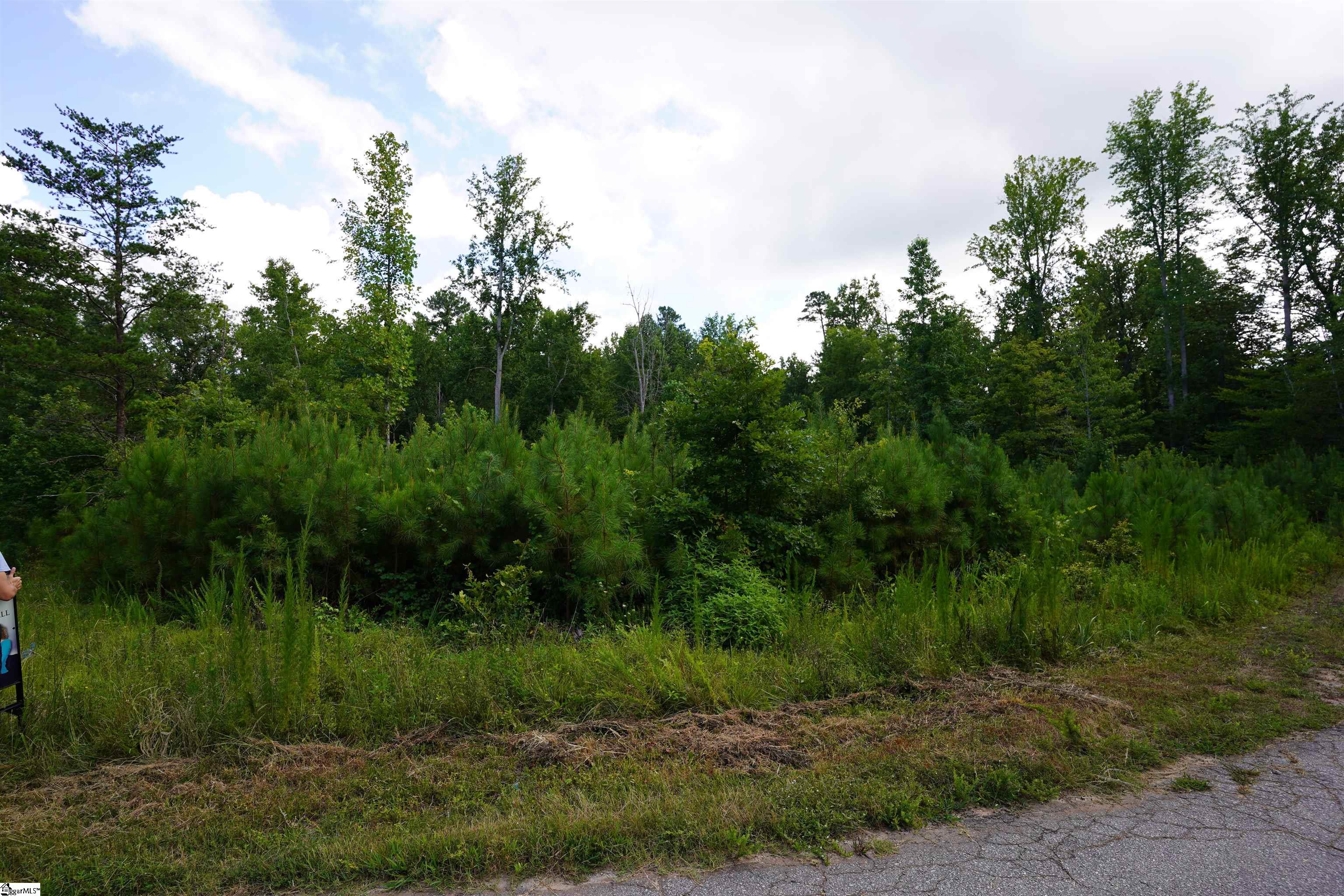 00 Crowe Creek Road Six Mile, SC 29682